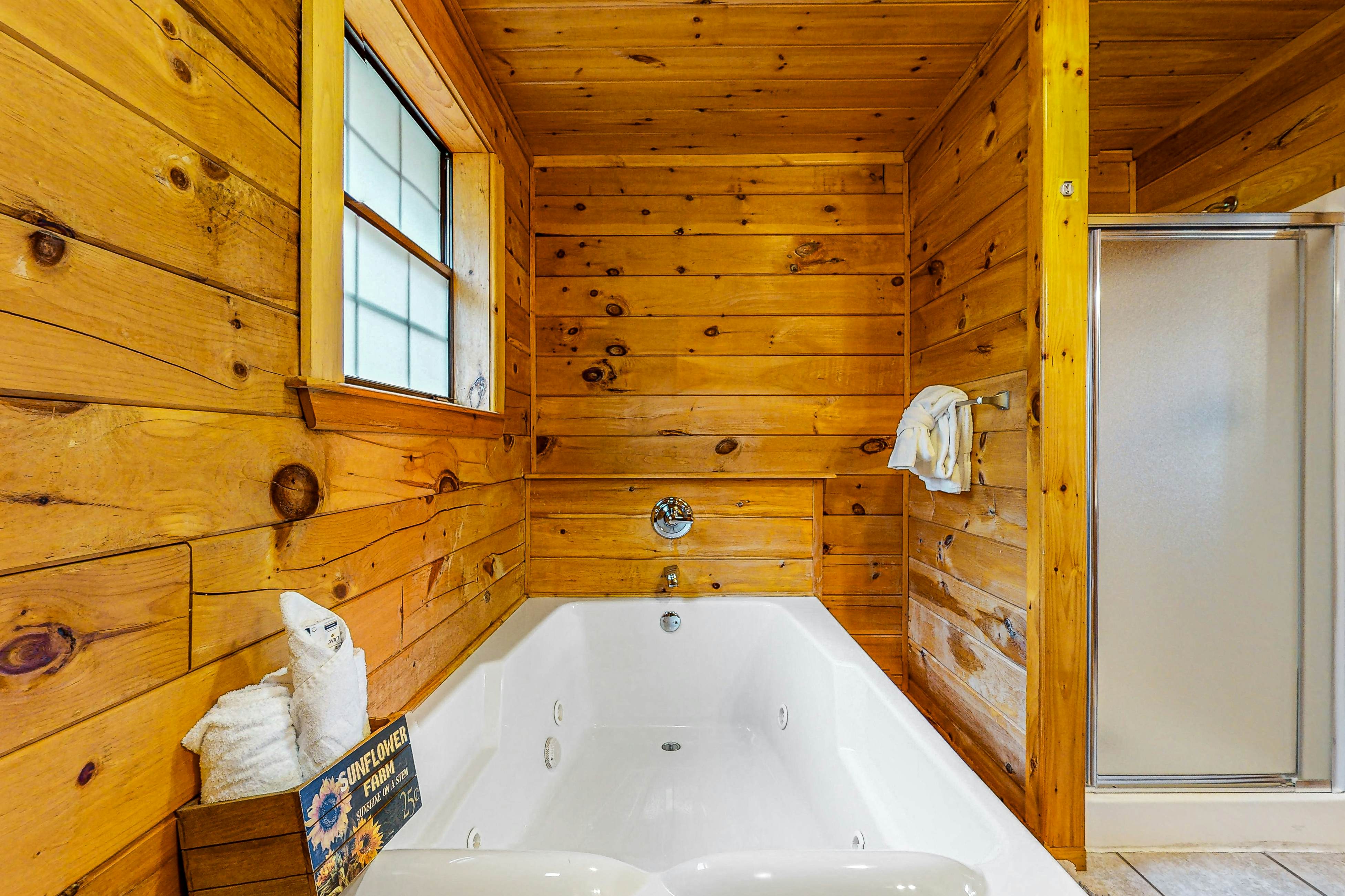 Mtn view home w/ hot tub, playhouse, game room, & gym + free attraction tickets