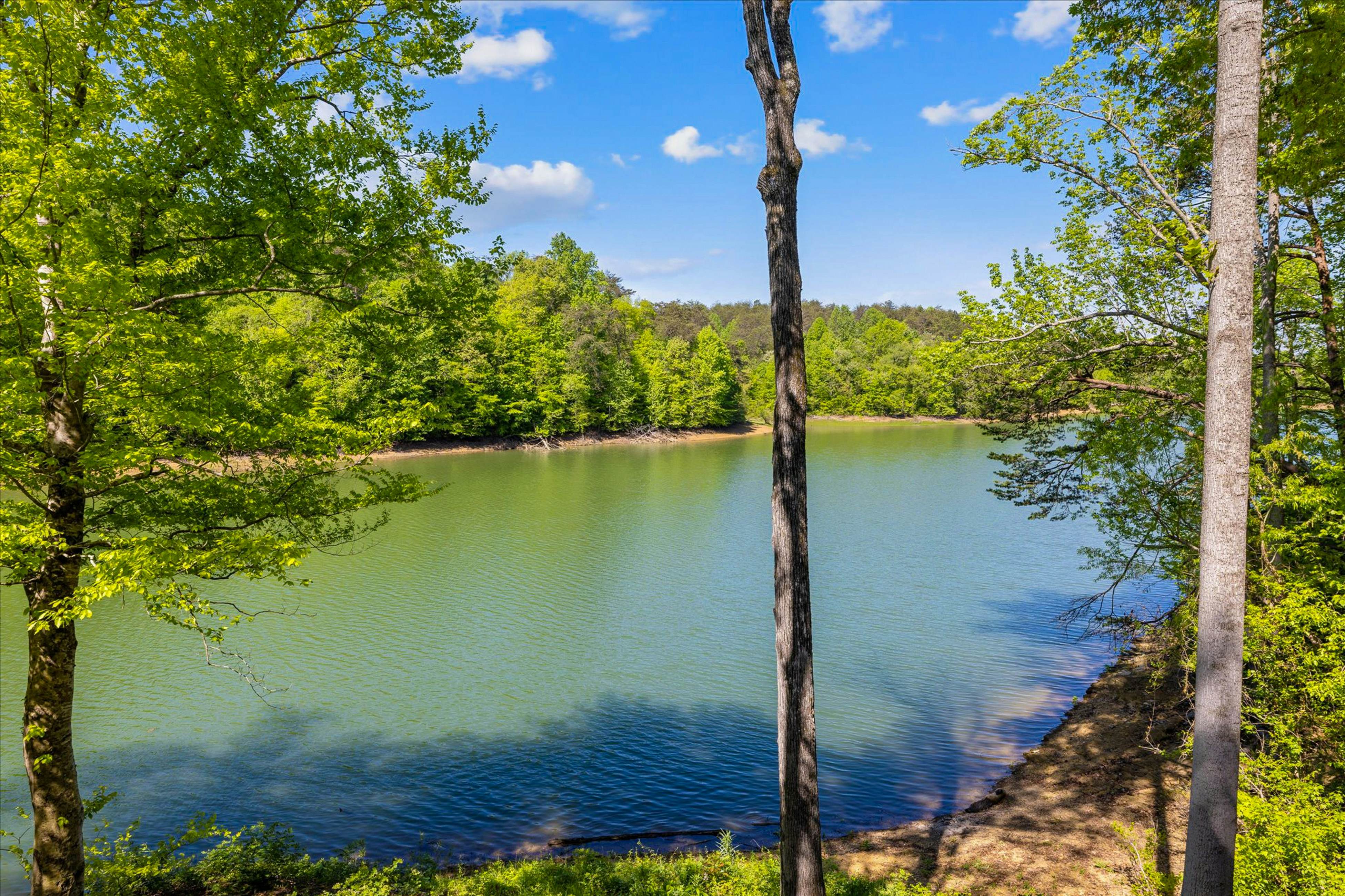 Serene Waterfront Cabin, Sleeps 12・Patio・Fire pit