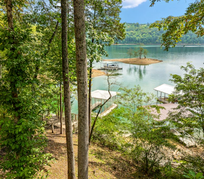 Lakefront Norris Cabin Retreat・Dock・Games・Hot Tub