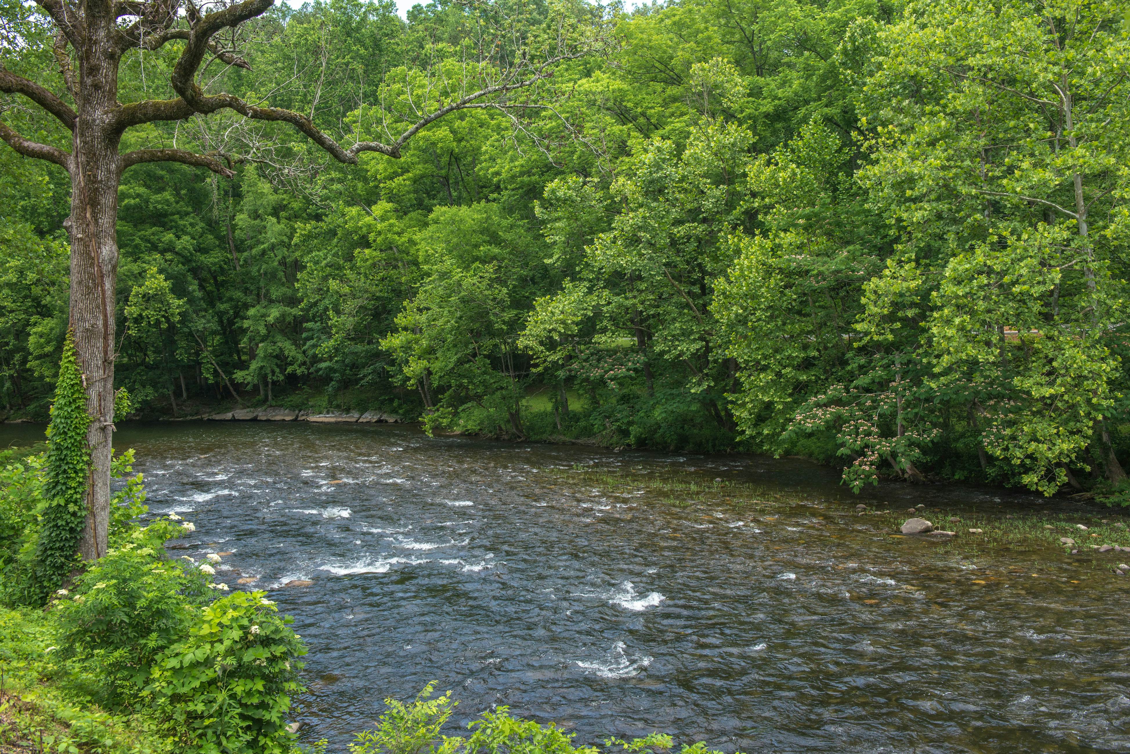 Peaceful Lodge-Style Cabin w/ Free Attraction TIckets & Private Hot Tub