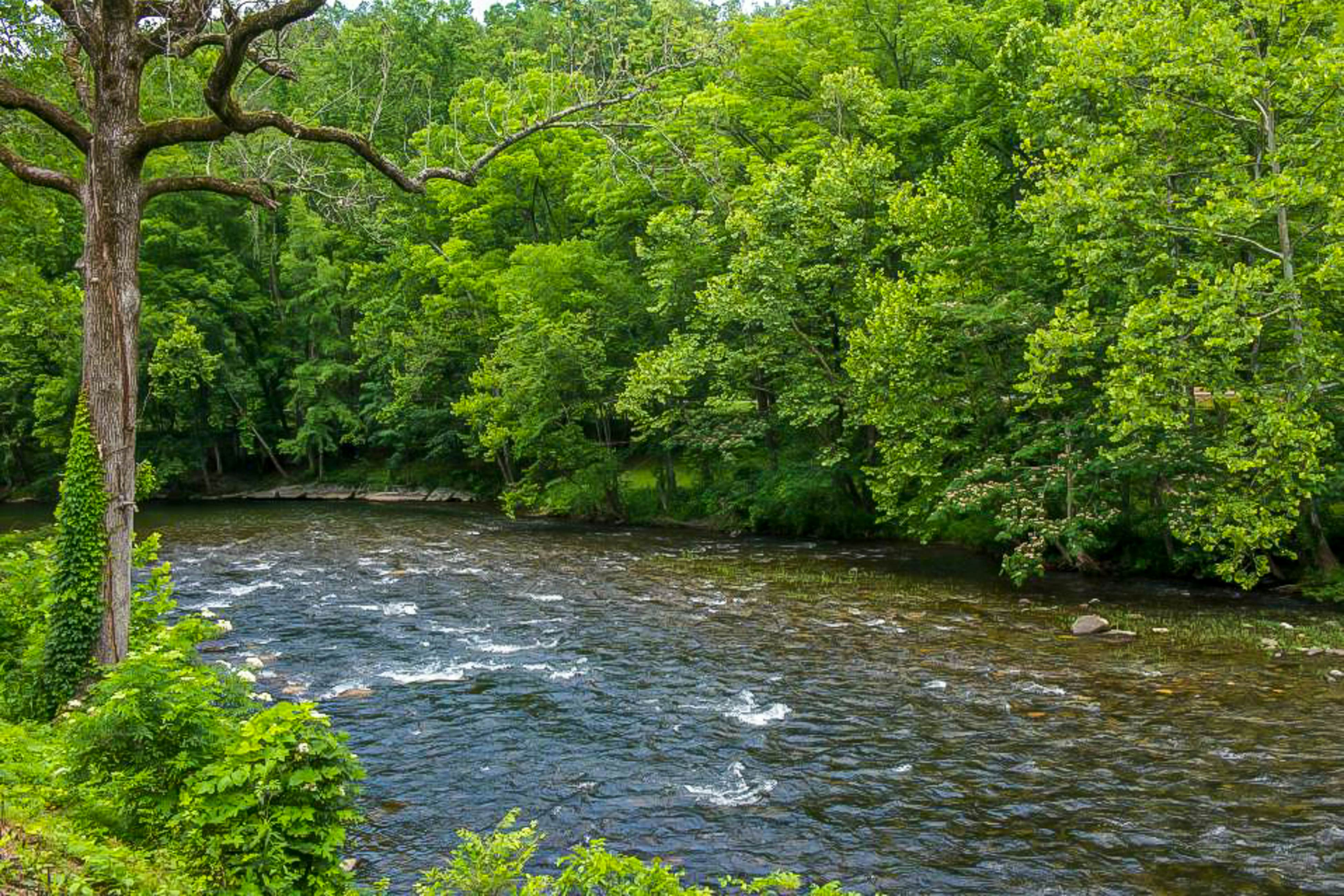 Stylish riverfront gem w/ Free Attraction TIckets & pool, near town/hiking