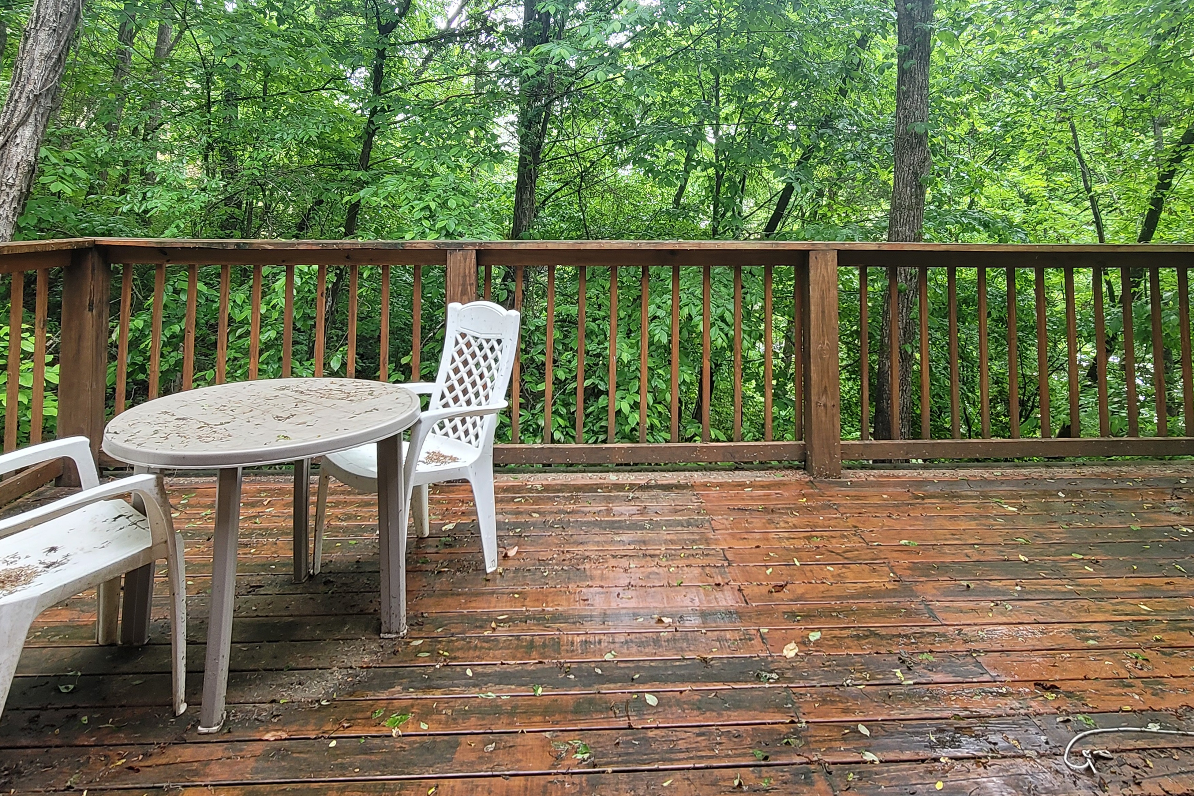 Cozy studio cabin with hot tub, fireplace, Wifi & full kitchen 