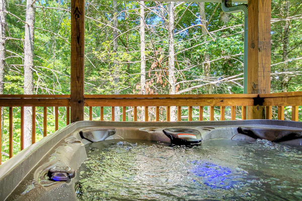Dog Welcome, Sleeps 10, Hot Tub, Deck, Shared Pool