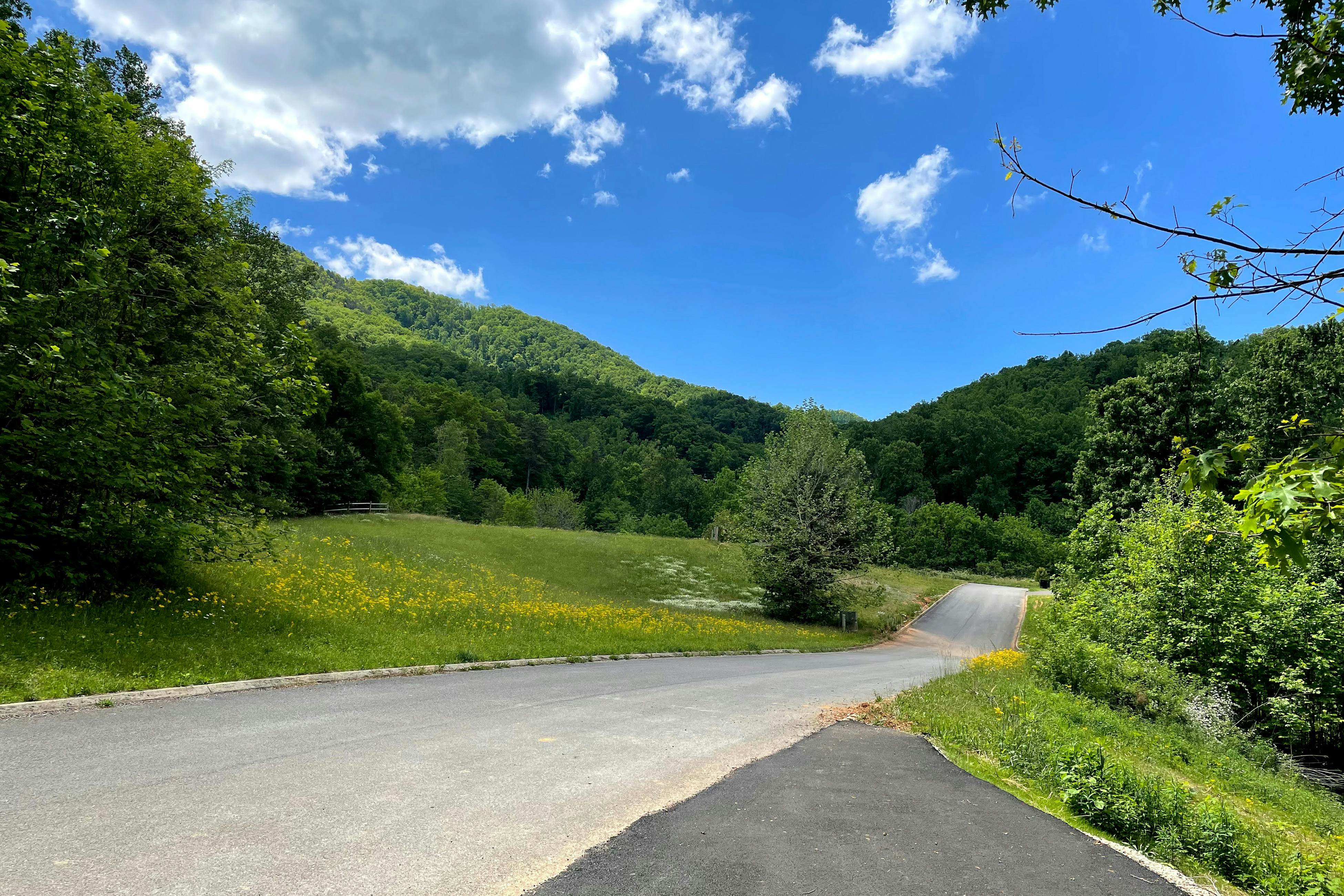 Dog-Friendly Cabin w/Hot Tub, Deck, & Shared Pool + Free Attraction Tickets