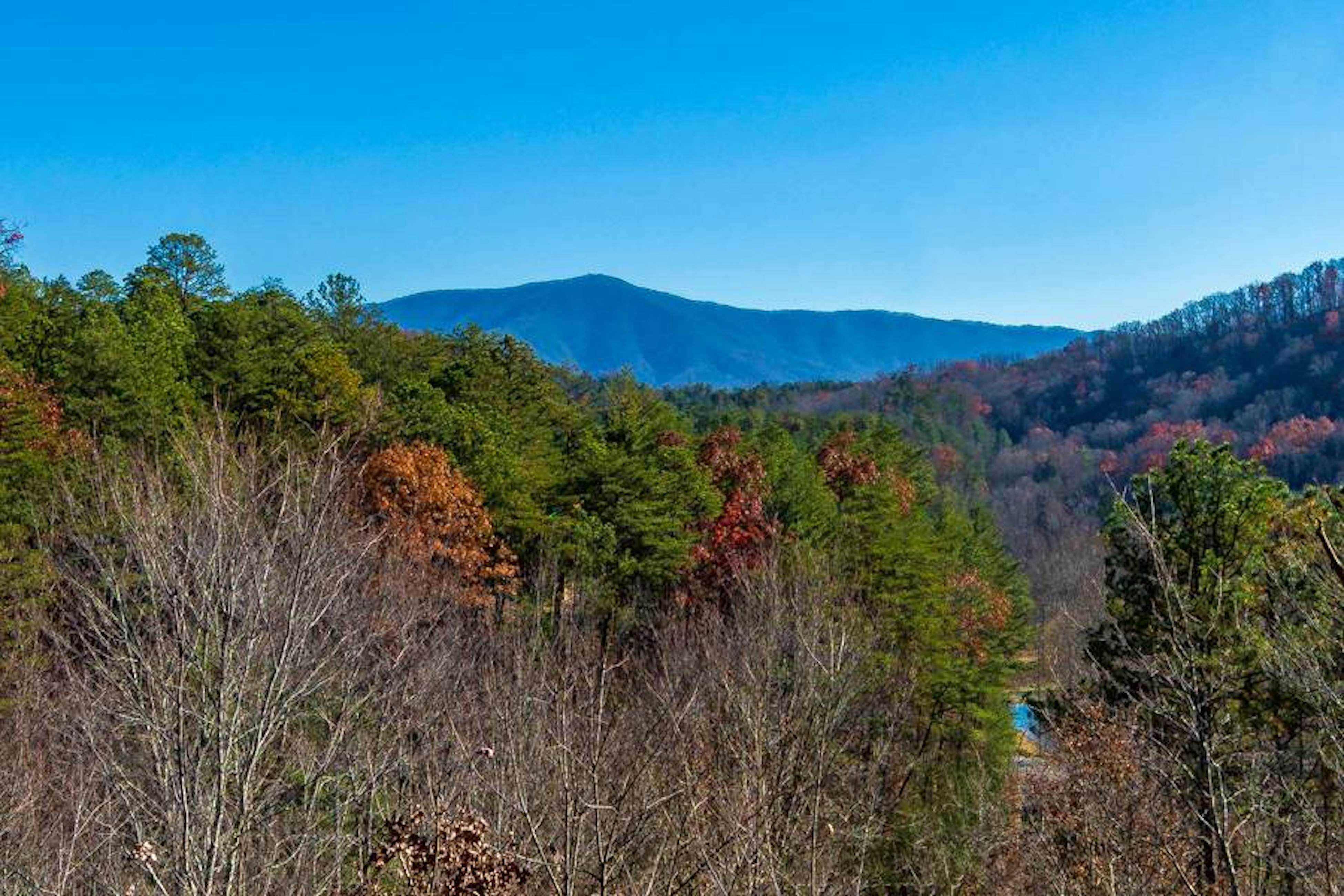 Dog-Friendly Cabin w/Hot Tub, Deck, & Shared Pool + Free Attraction Tickets