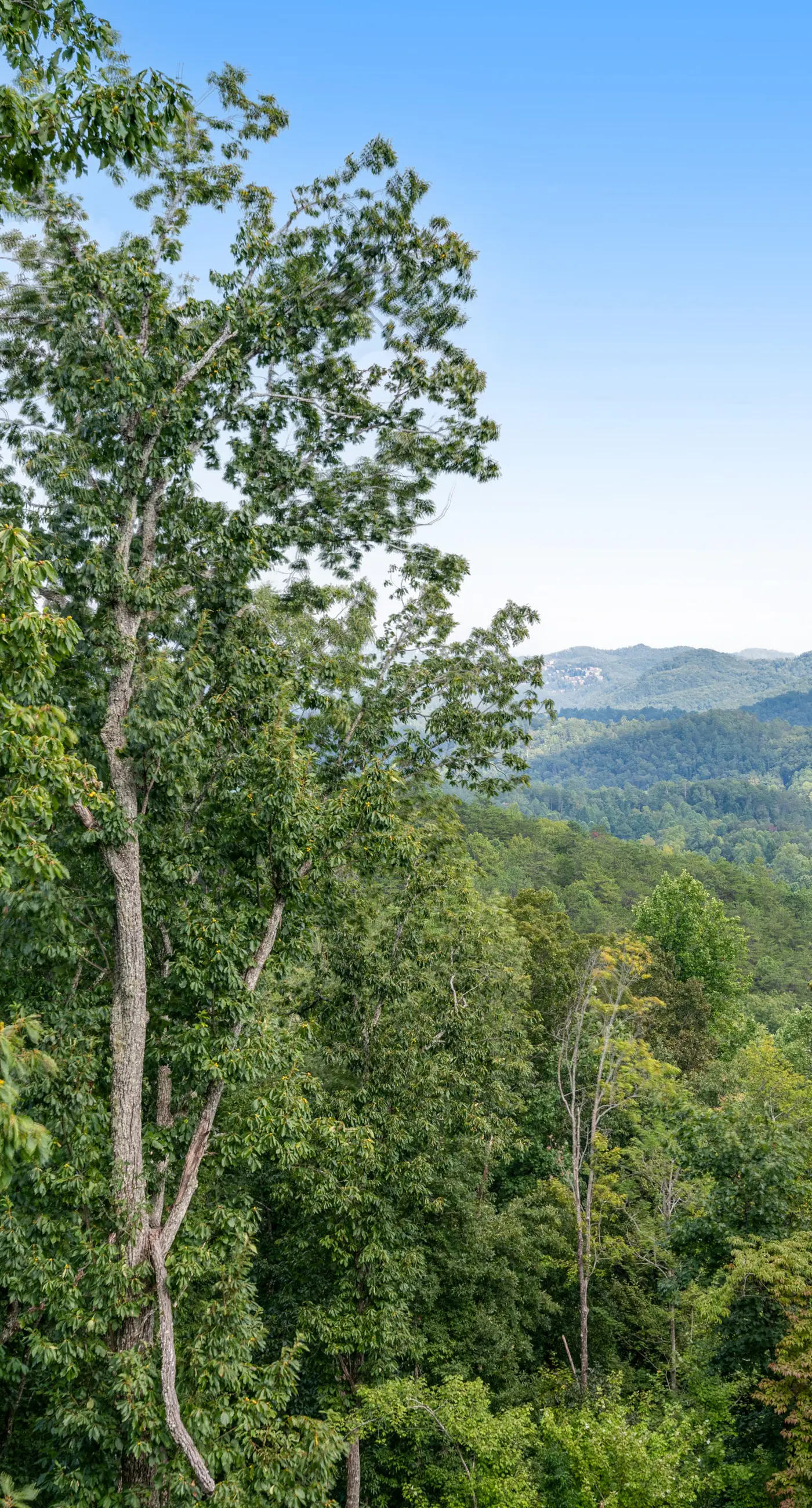 Log Mtn Escape ・Stunning Views・Deck・Firepit・Games