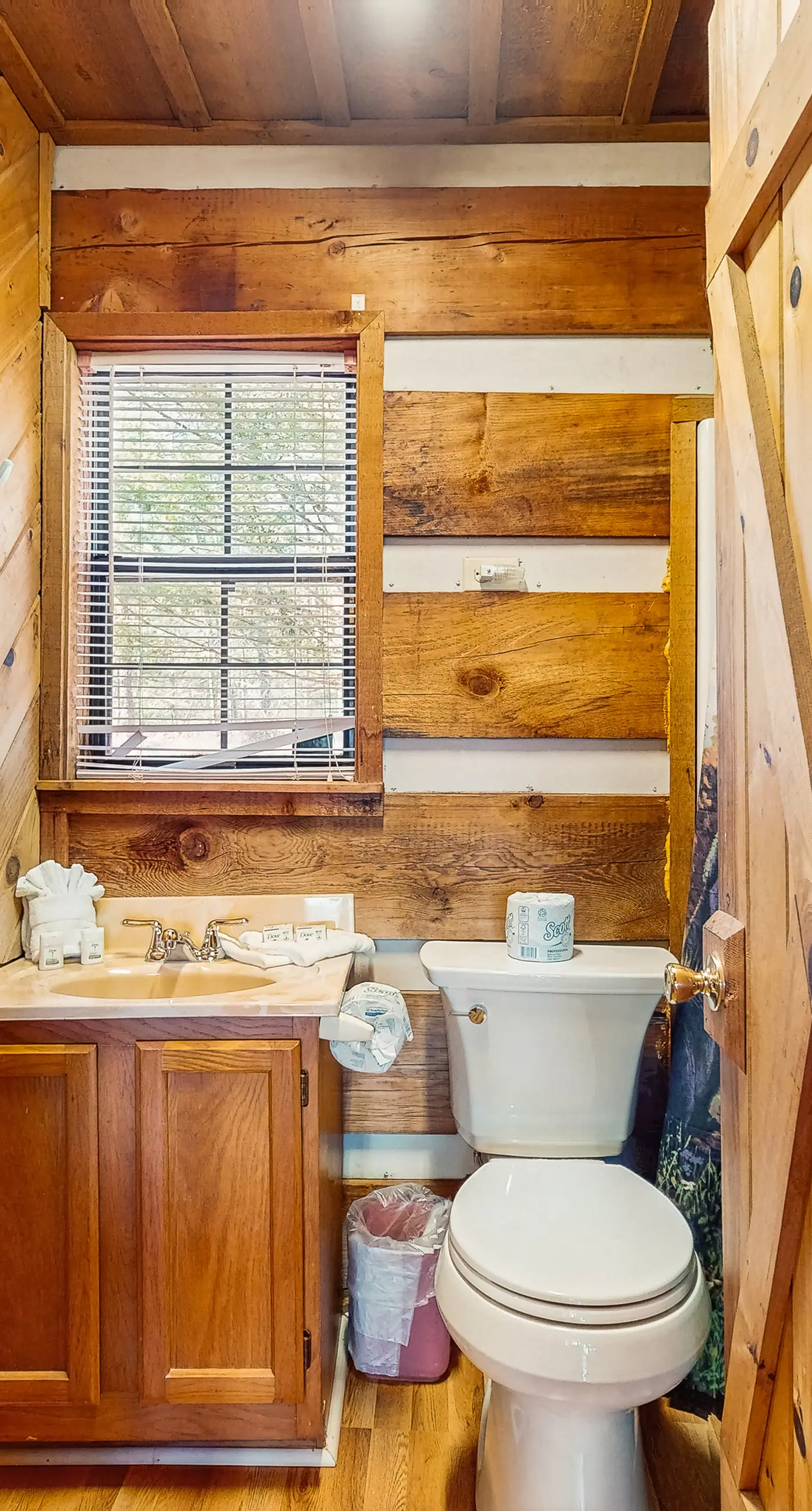 Townsend Cabin Retreat, Sleeps 4・Hot Tub・Fireplace