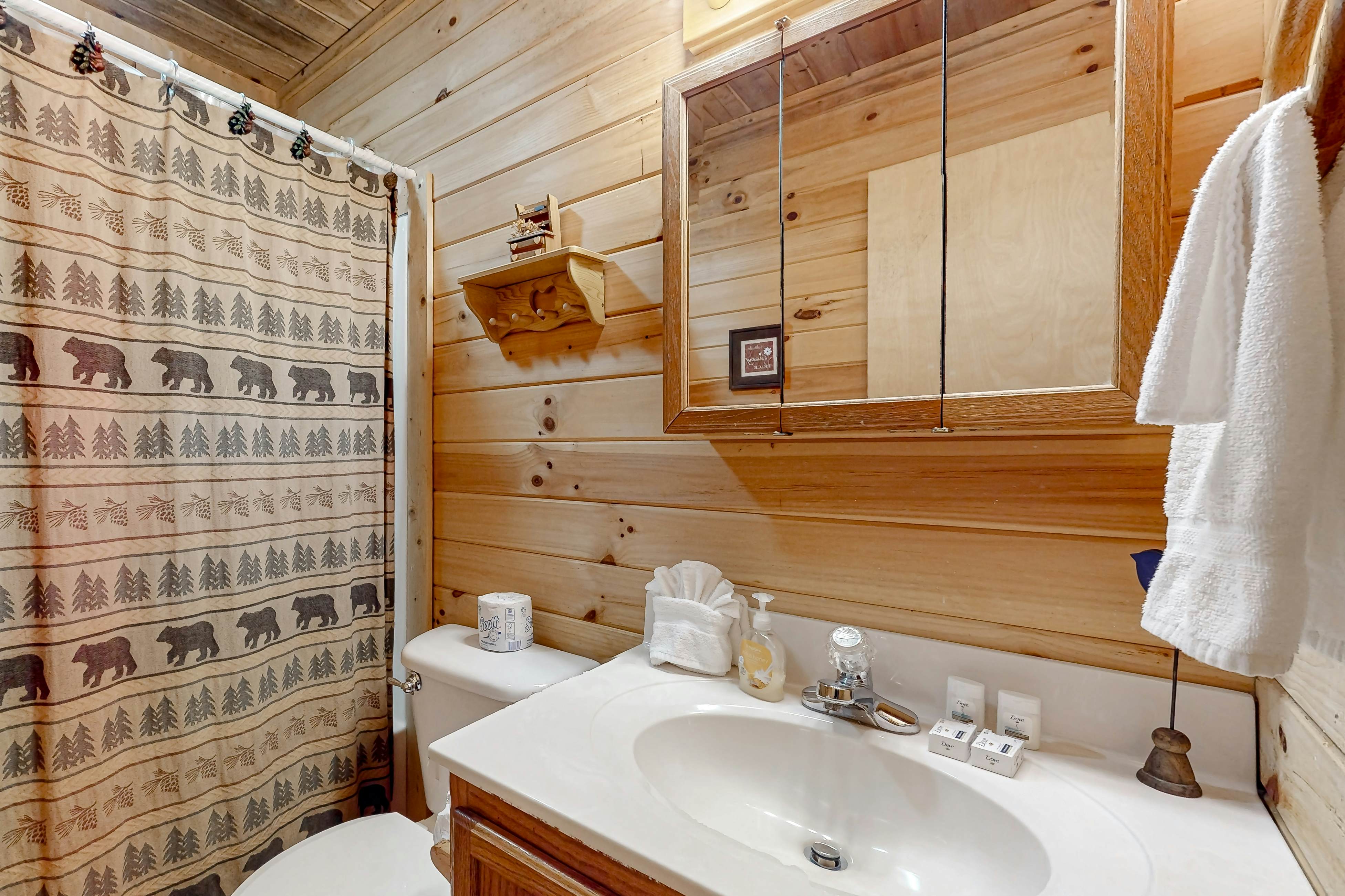 Serene cabin w/ Free Attraction Tickets, fire pit, screened porch & hot tub