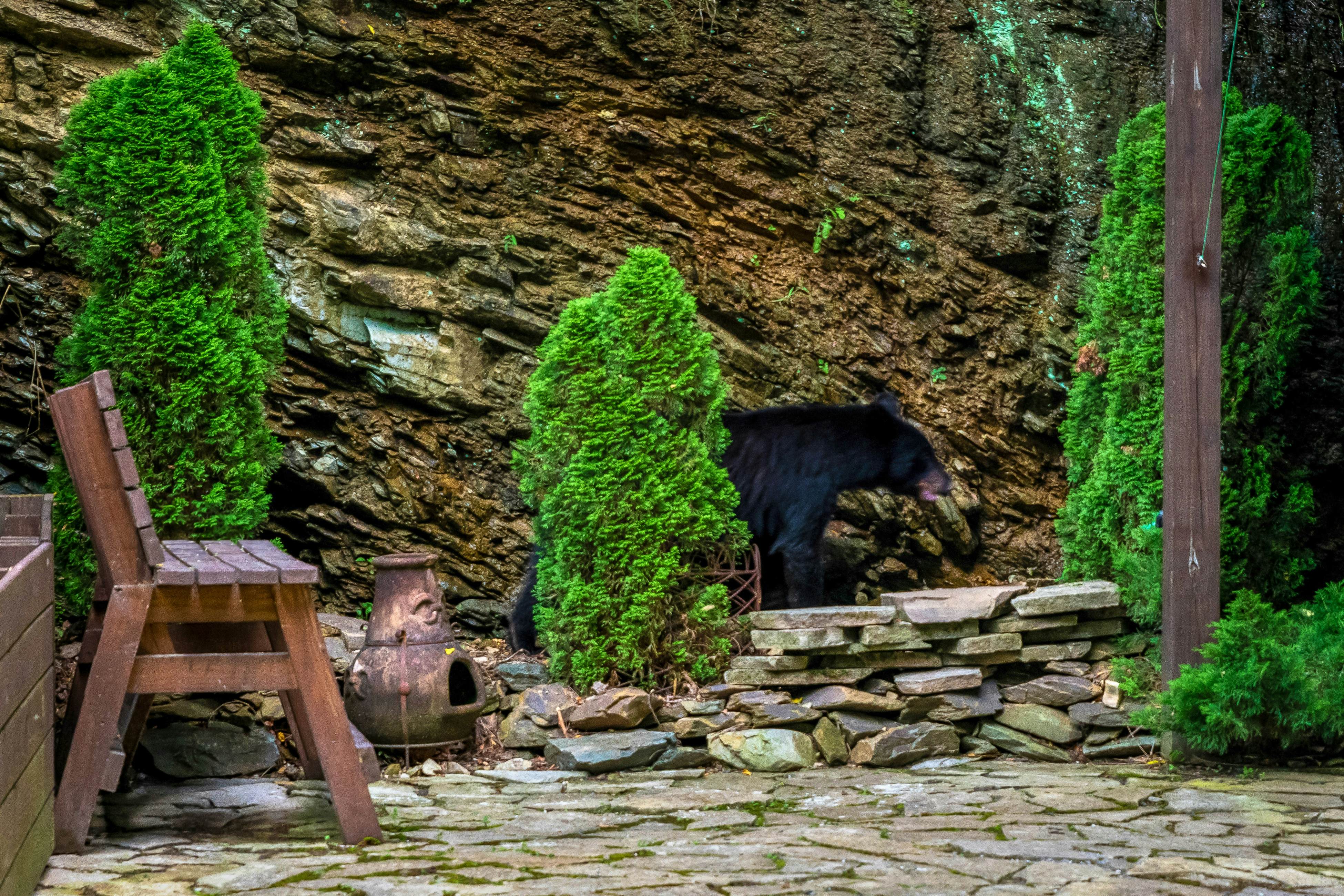 Fairytale Mtn Cottage, Sleeps 6・Hot Tub・Fireplace