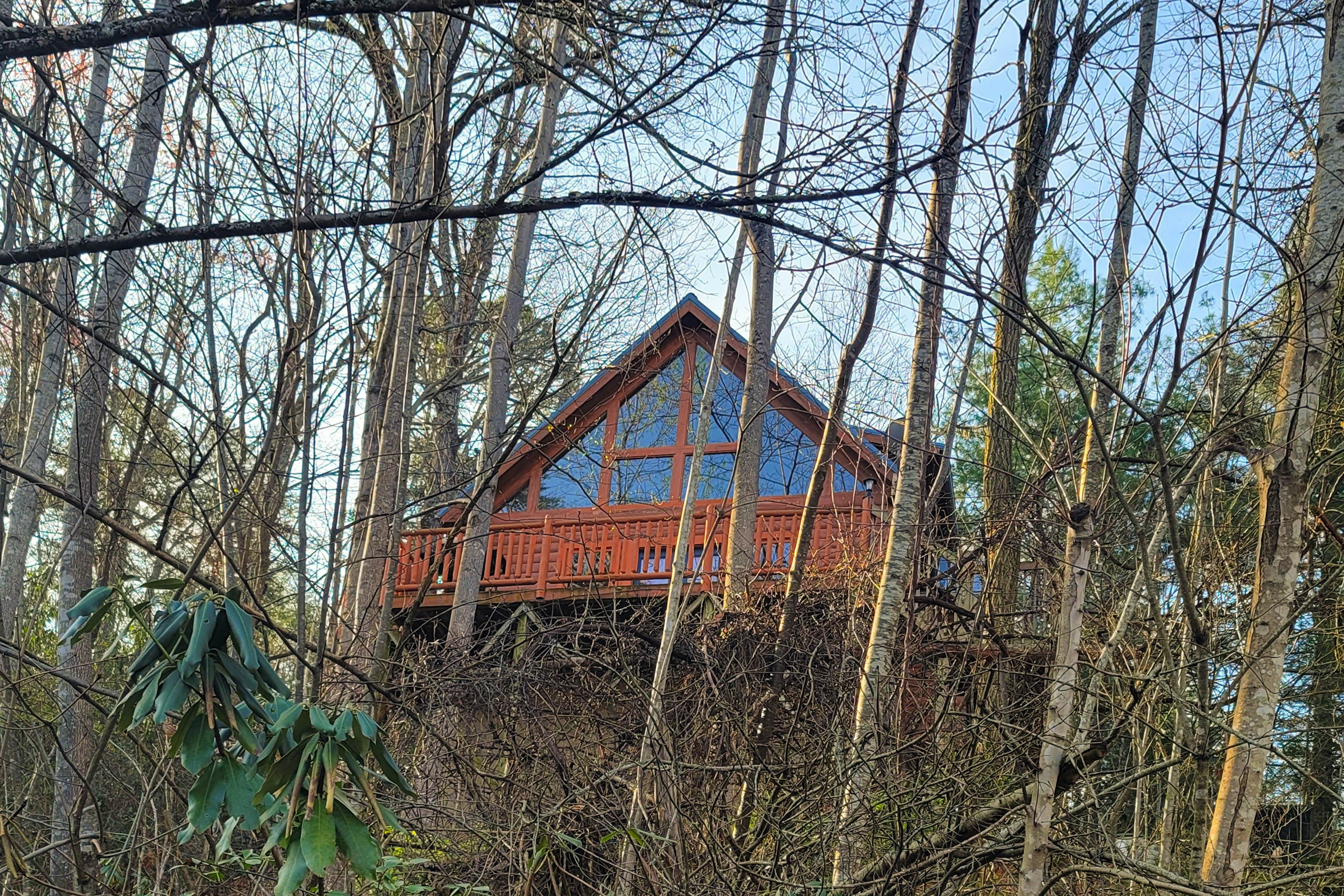 Woodland cabin w/arcade game, fireplace, gas grill, & free attraction tickets