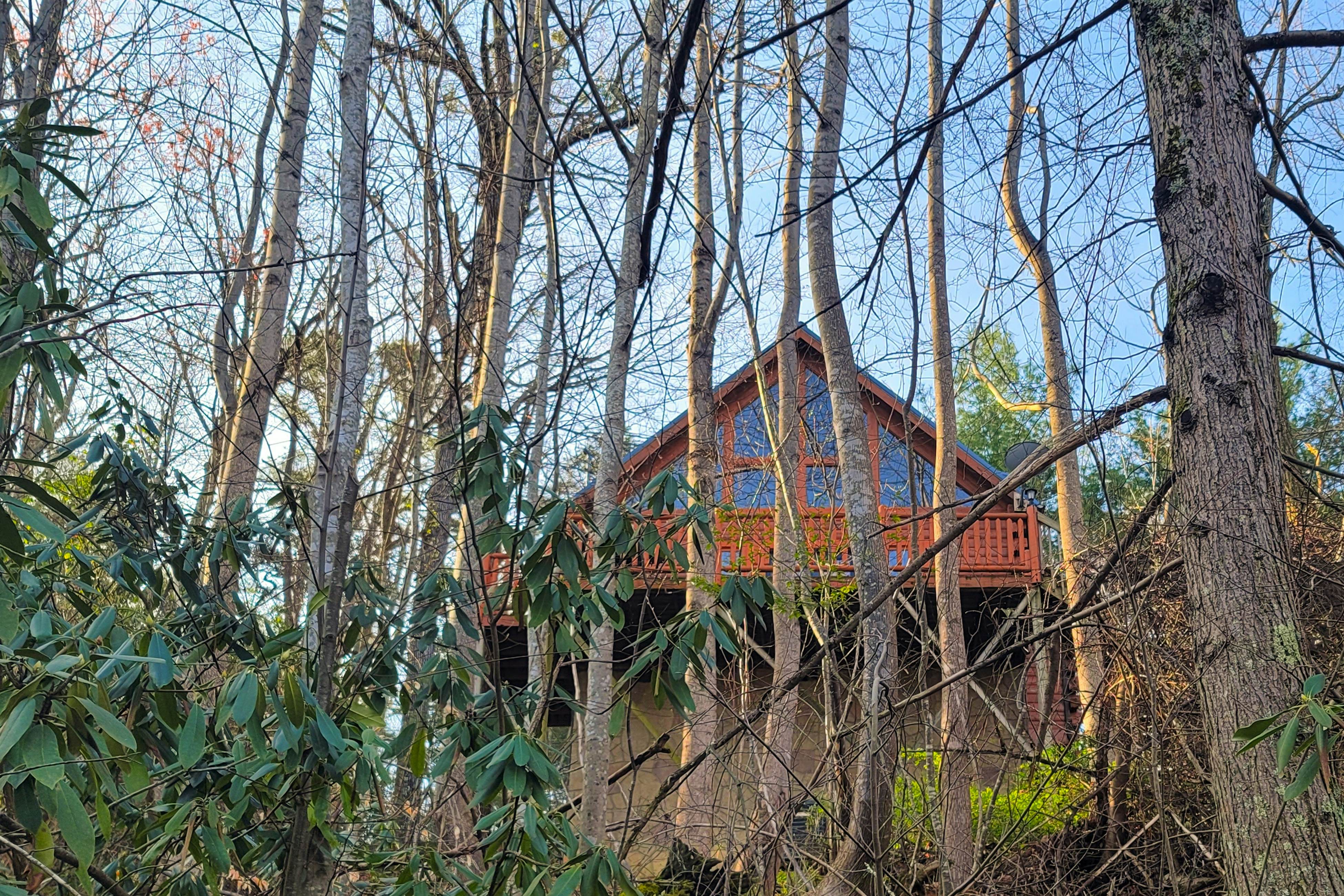 Woodland cabin w/arcade game, fireplace, gas grill, & free attraction tickets