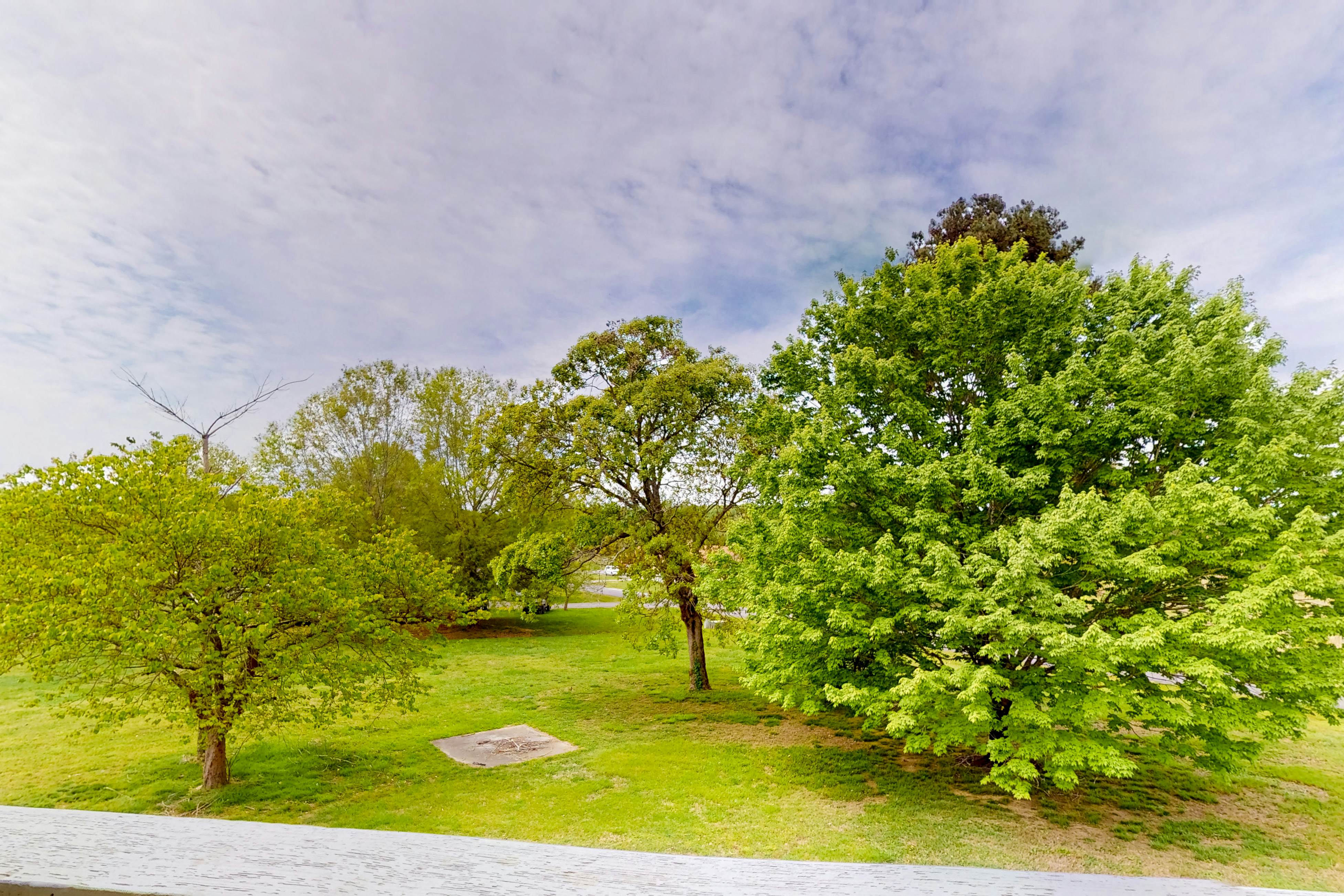 Charming Studio, Sleeps 4・Close to Douglas Lake