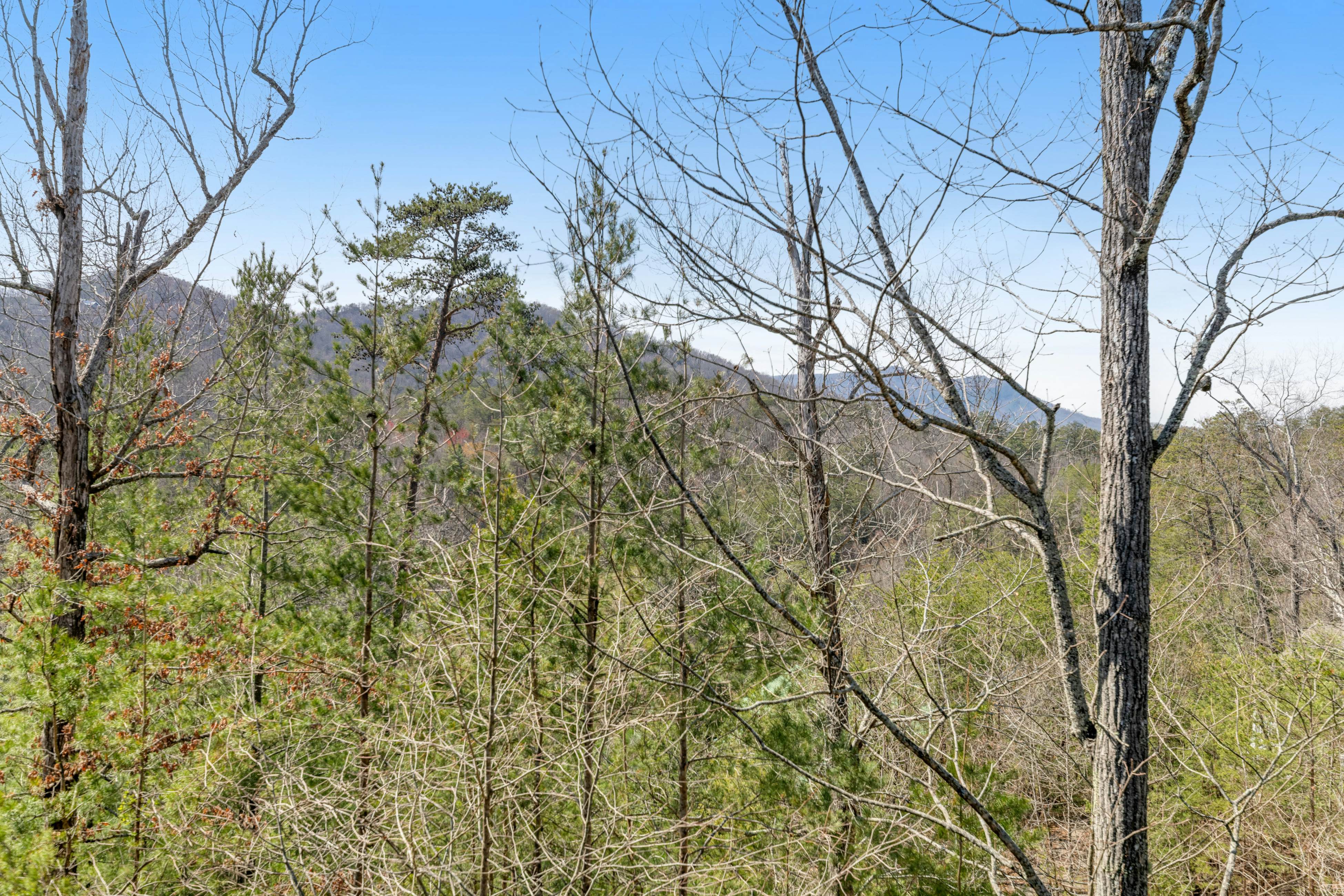 Charming Cabin, Sleeps 10・Hot Tub・Shared Pool