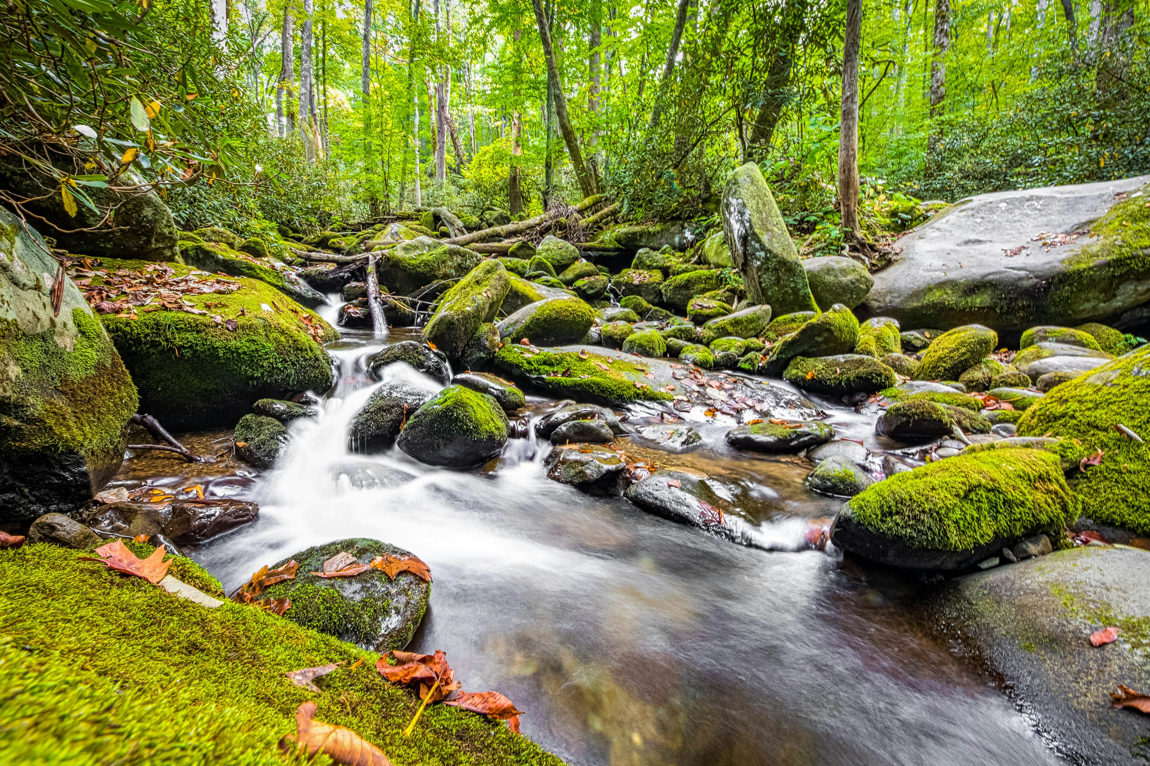 Peaceful cabin in a gated community w/ Free Attraction Tickets & private hot tub