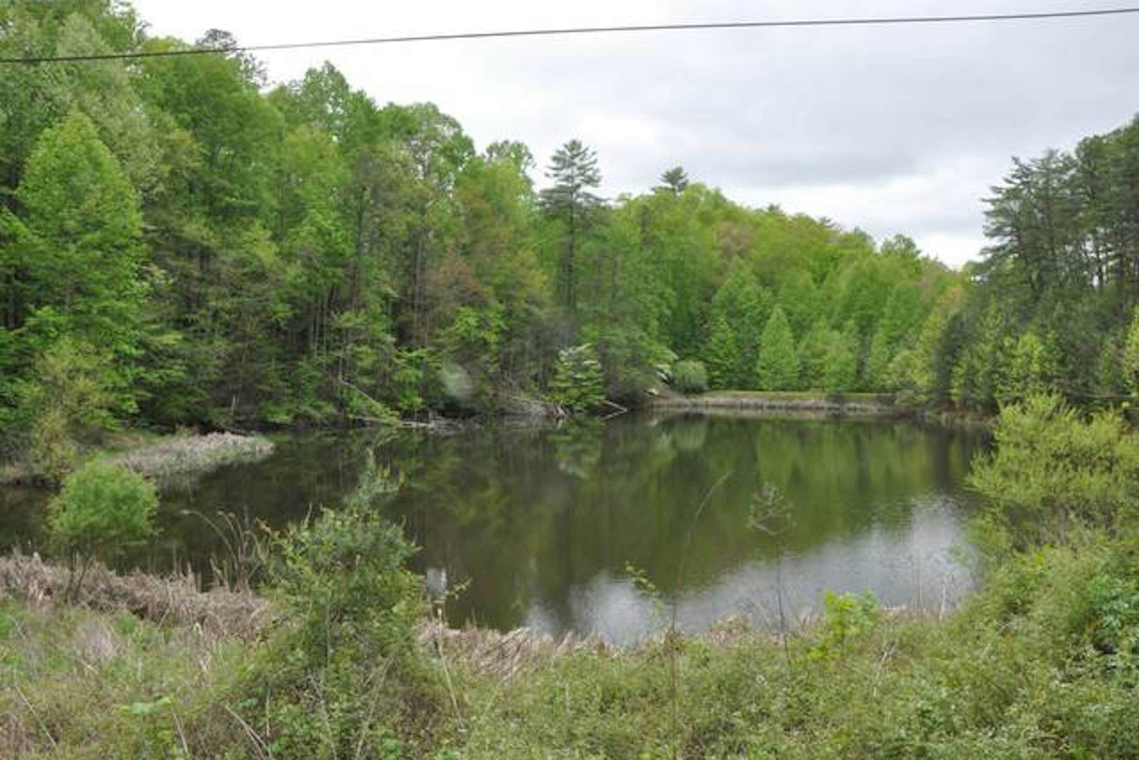 Beautiful custom cabin on private pond w/ Free Attraction Tickets & hot tub
