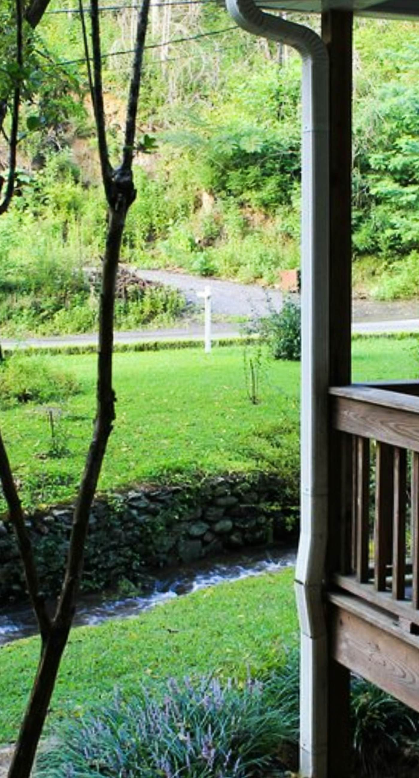 Creekside Family Friendly Home・1 Mile to Downtown
