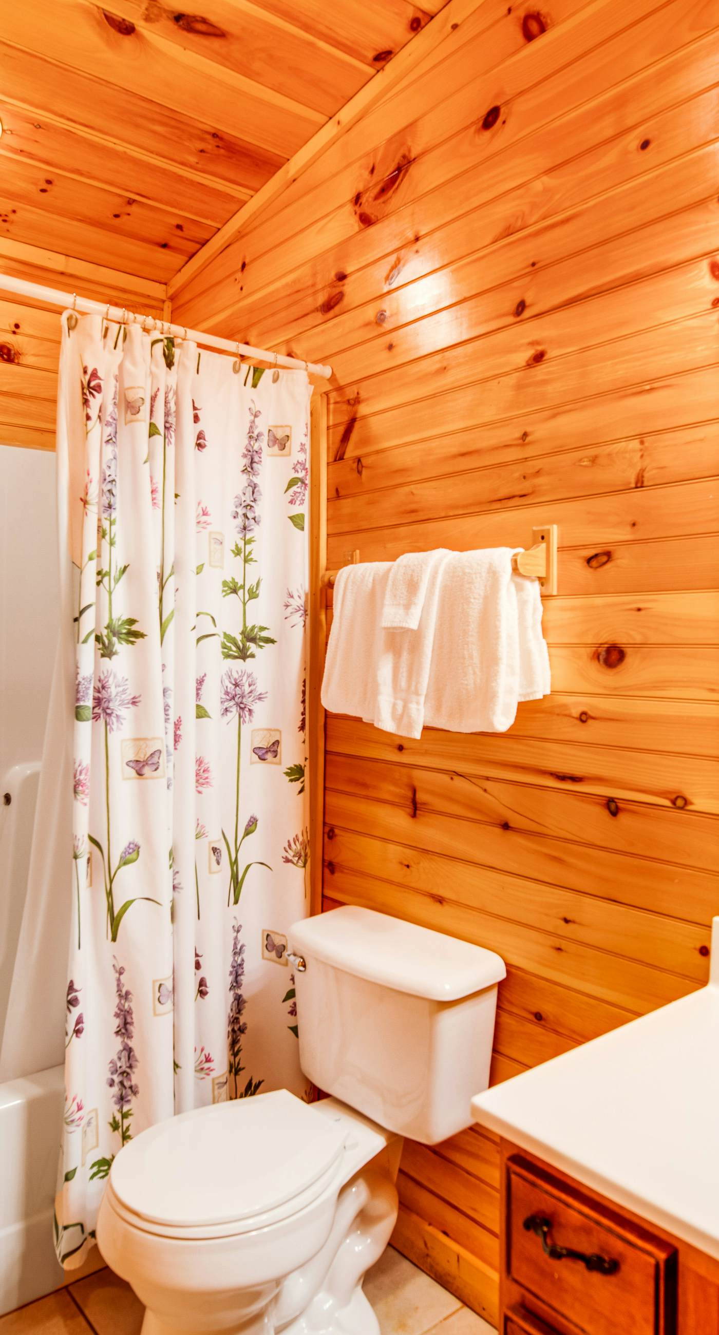 Grizzly Manor, Sleep 18, Amazing Mtn Views, Hot Tub