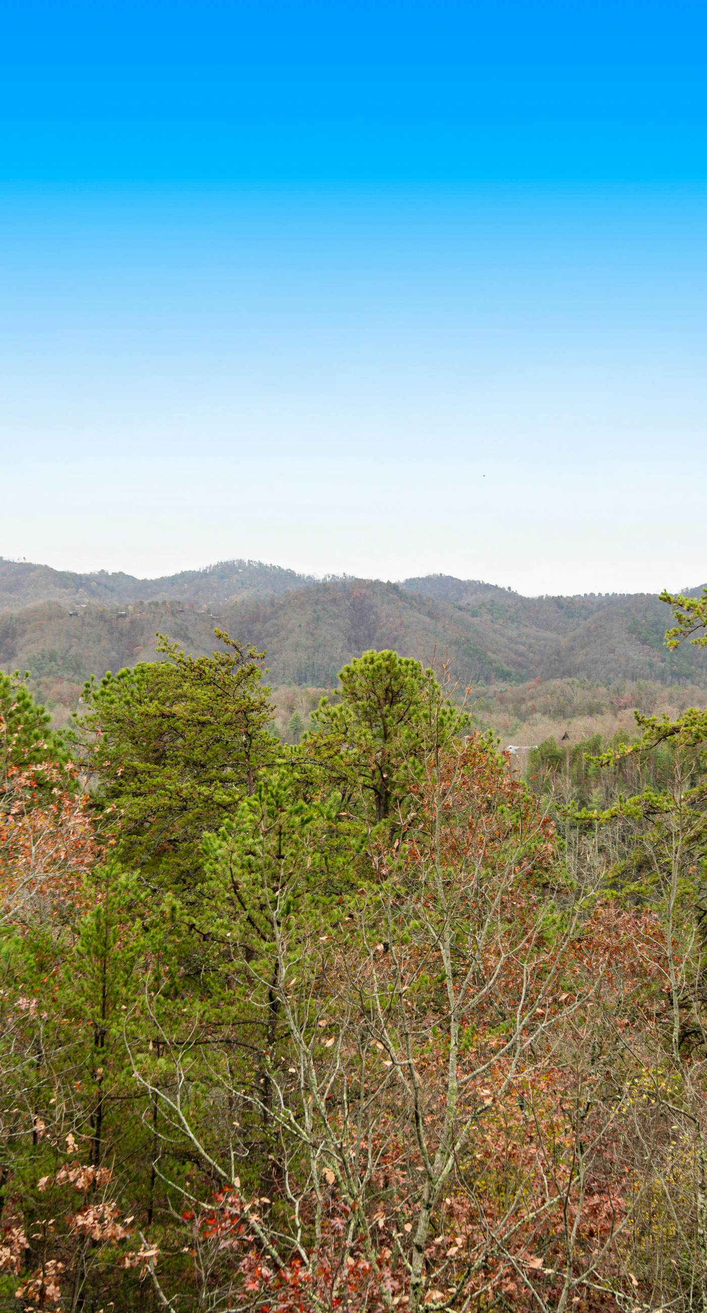 Grizzly Manor, Sleep 18, Amazing Mtn Views, Hot Tub