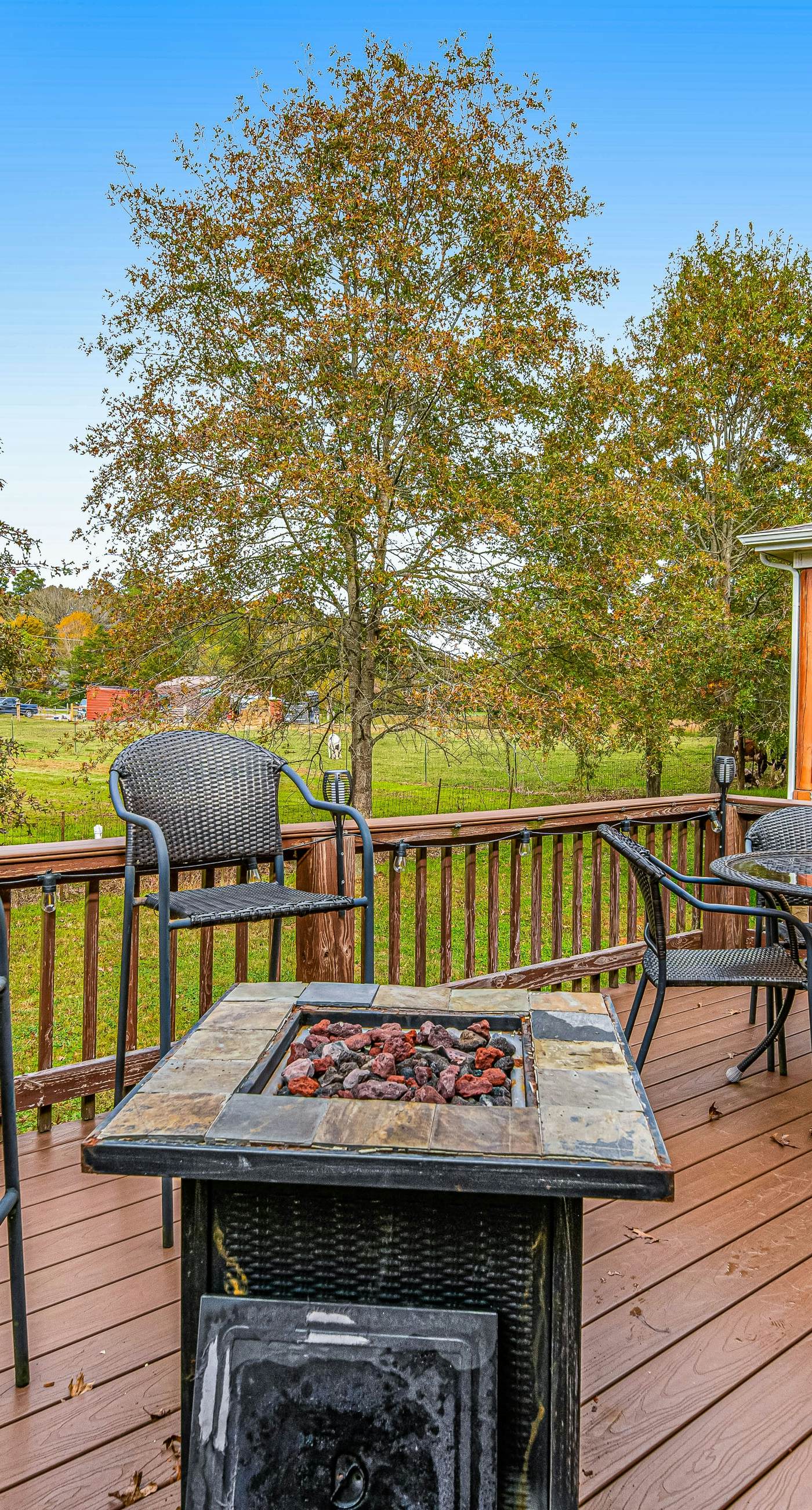Dog Welcome Cottage Near Smokies, Sleeps 4, Firepit