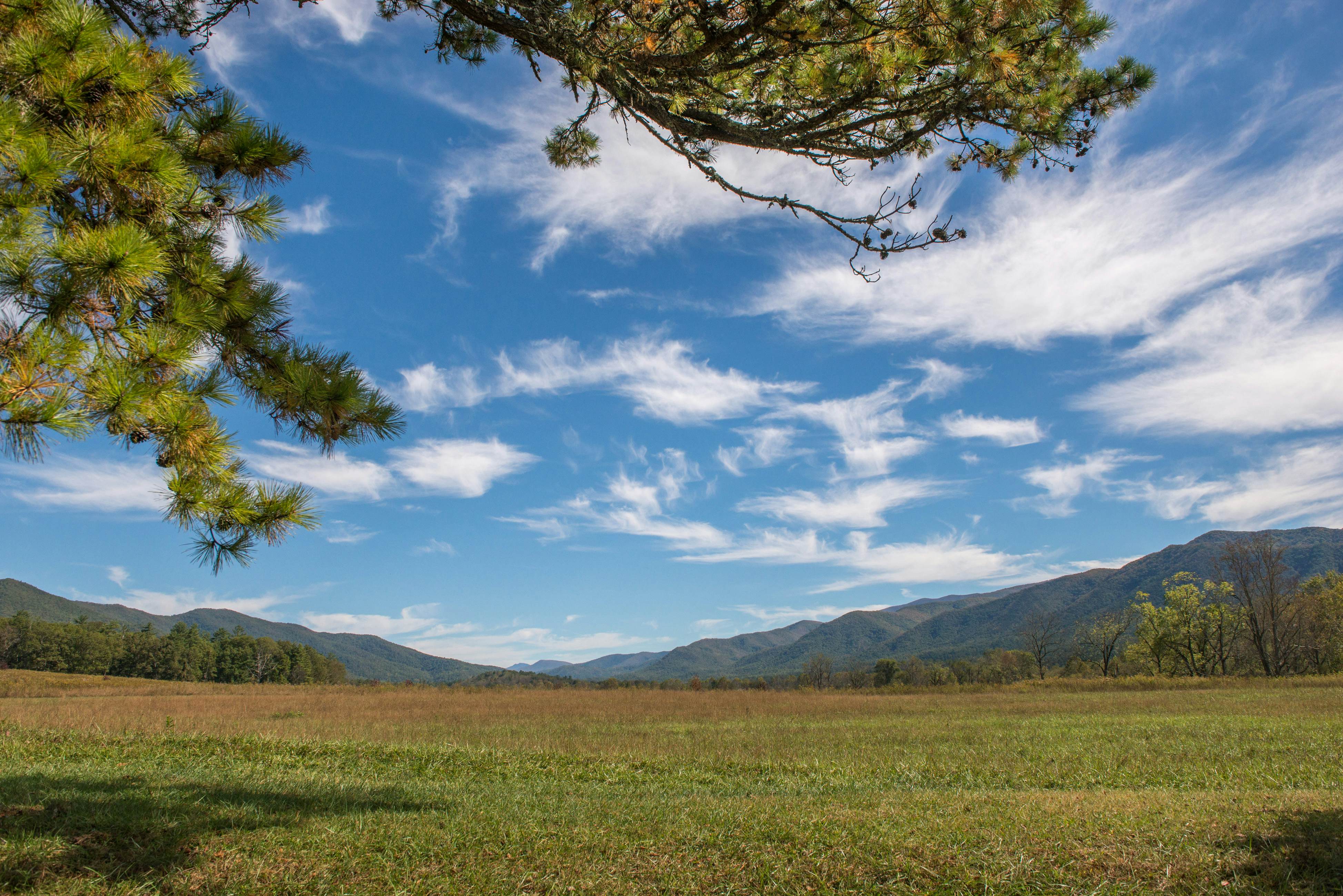 Dog-Friendly Getaway w/Hot Tub & Amazing Mountain Views -Free Attraction Tickets