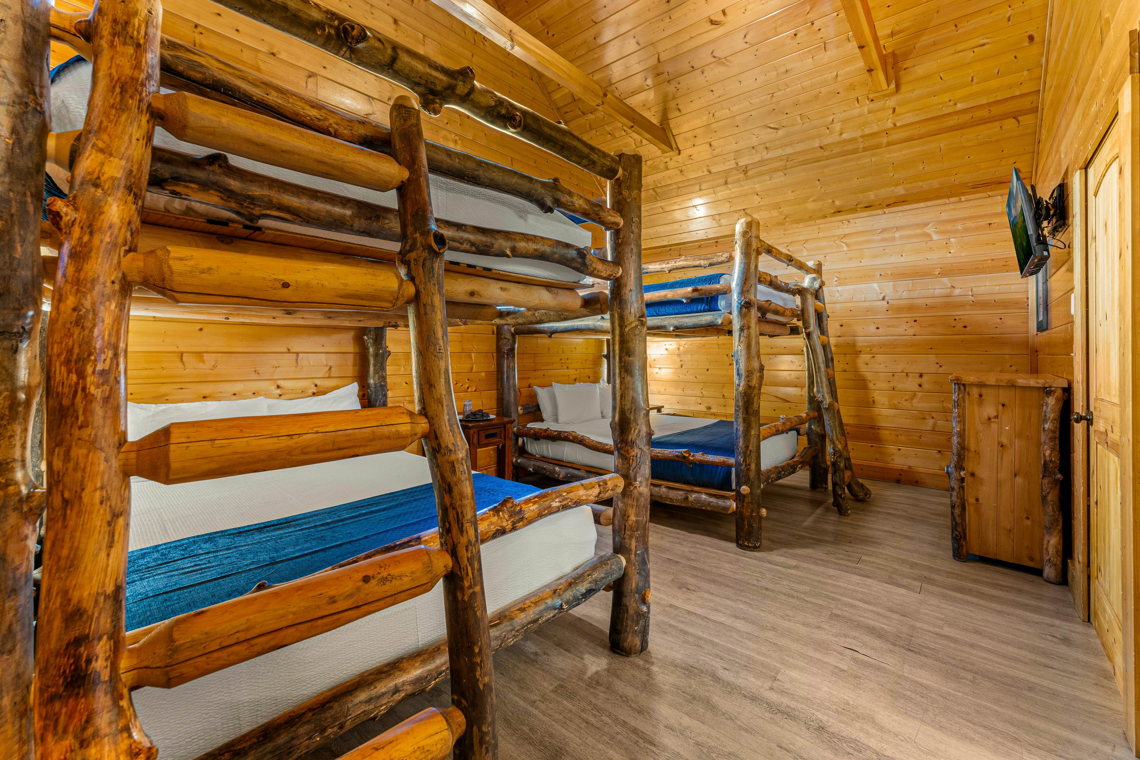 Amazing cabin sleeping 58 w/dual 7-person hot tubs, billiards, theater - attraction tickets!