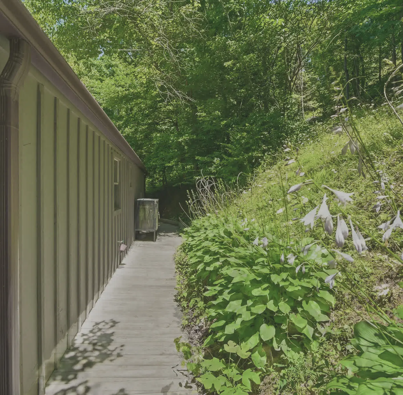 Charming Mtn View Cabin, Sleeps 8・Spacious Deck