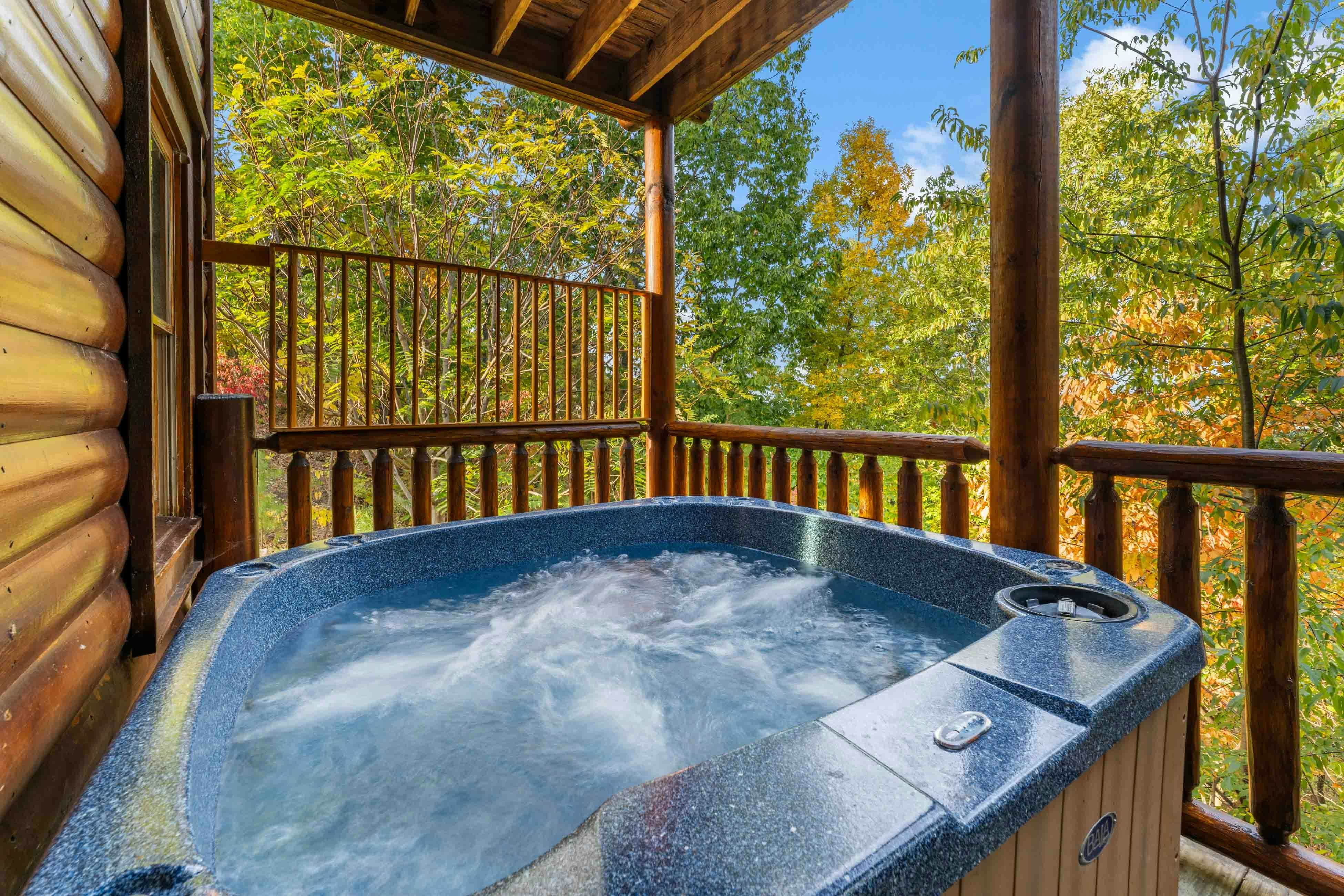 Amazing twin cabins w/dual hot tubs, billiards, theater - attraction tickets!