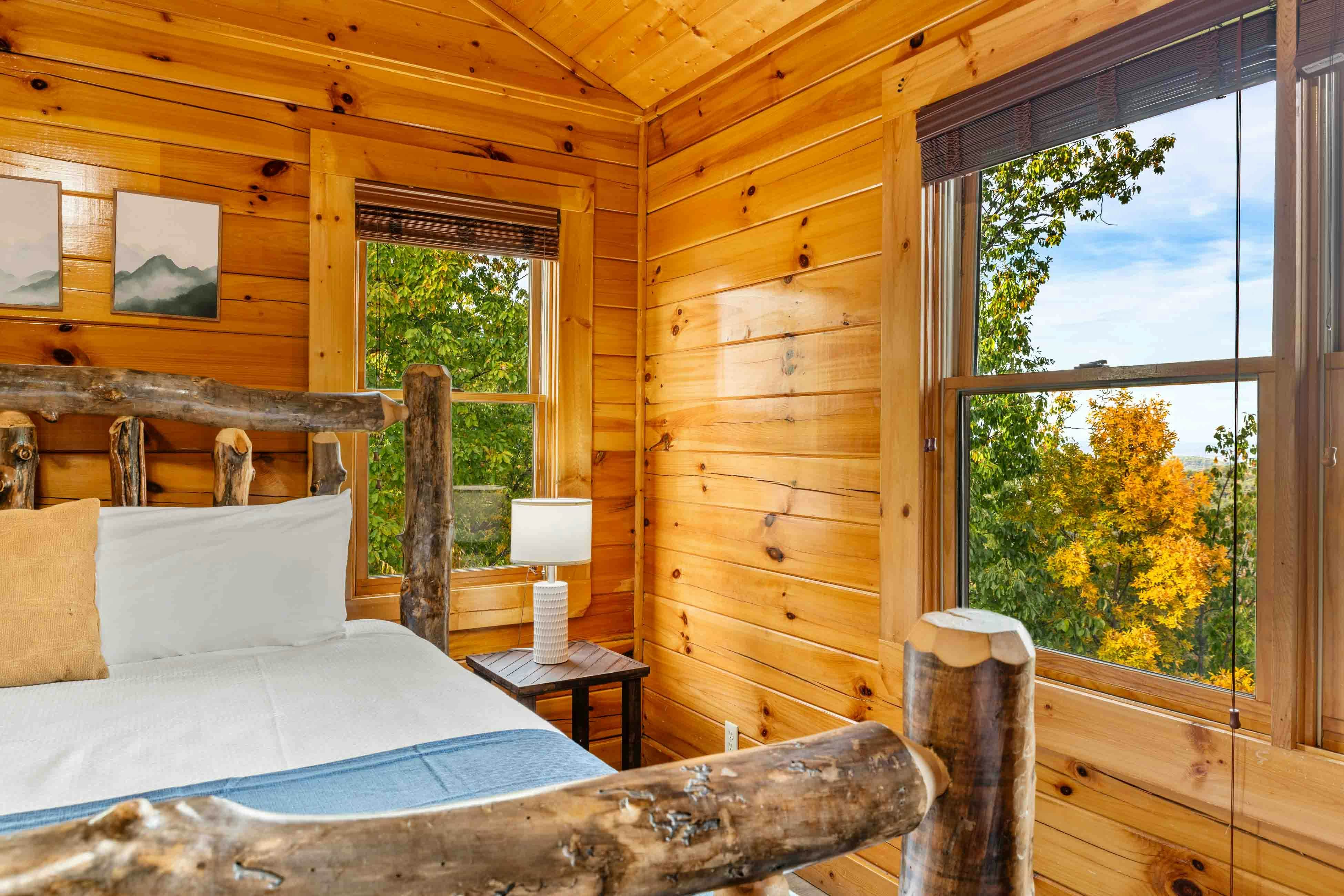 Amazing twin cabins w/dual hot tubs, billiards, theater - attraction tickets!
