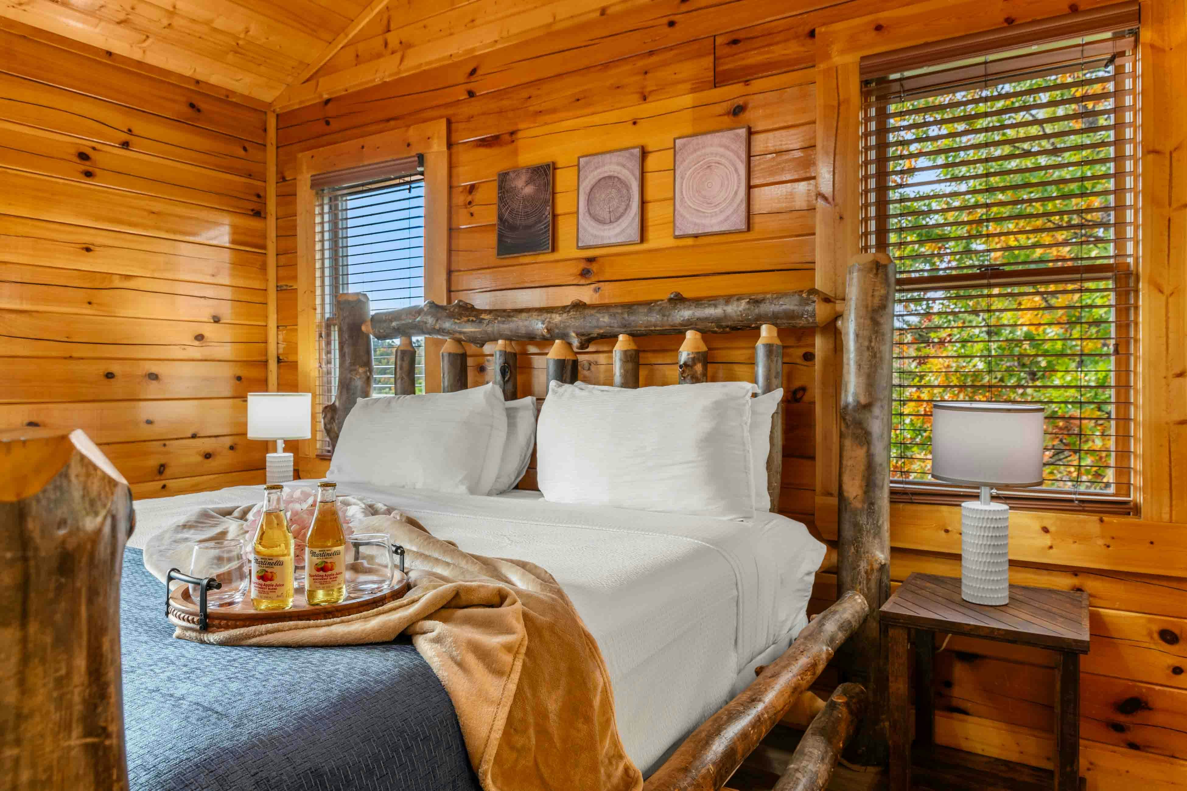 Amazing twin cabins w/dual hot tubs, billiards, theater - attraction tickets!
