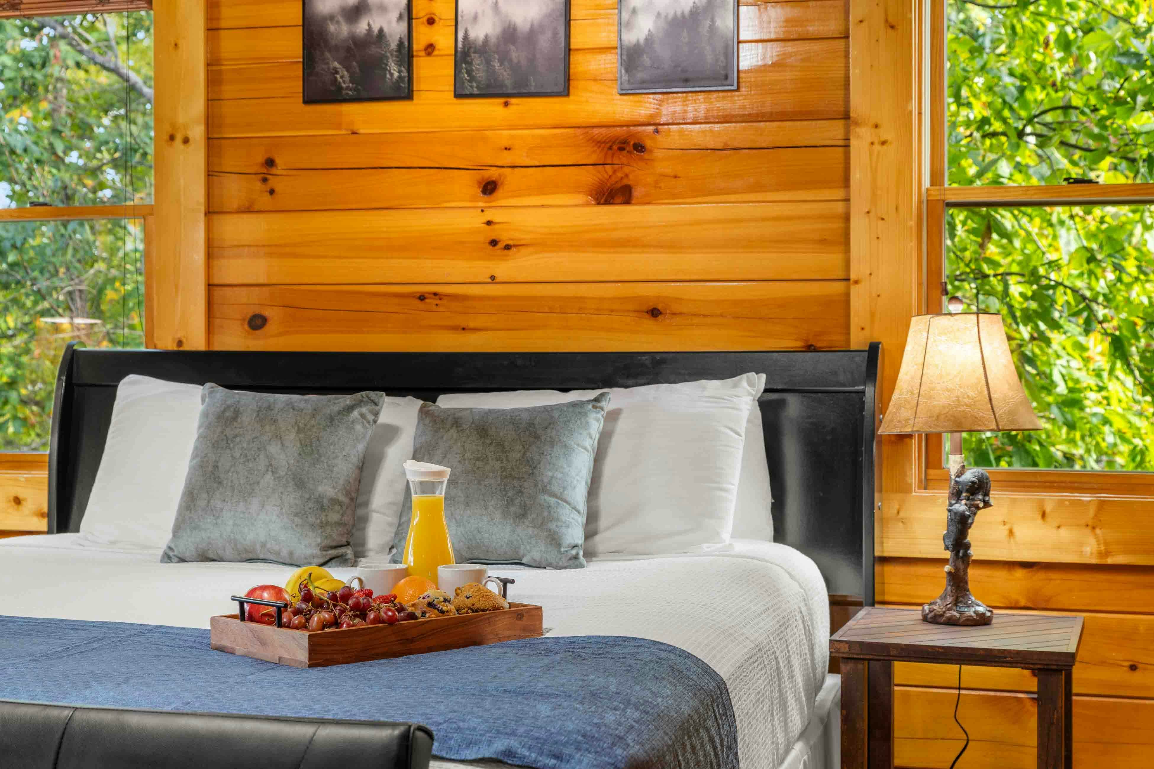 Amazing twin cabins w/dual hot tubs, billiards, theater - attraction tickets!