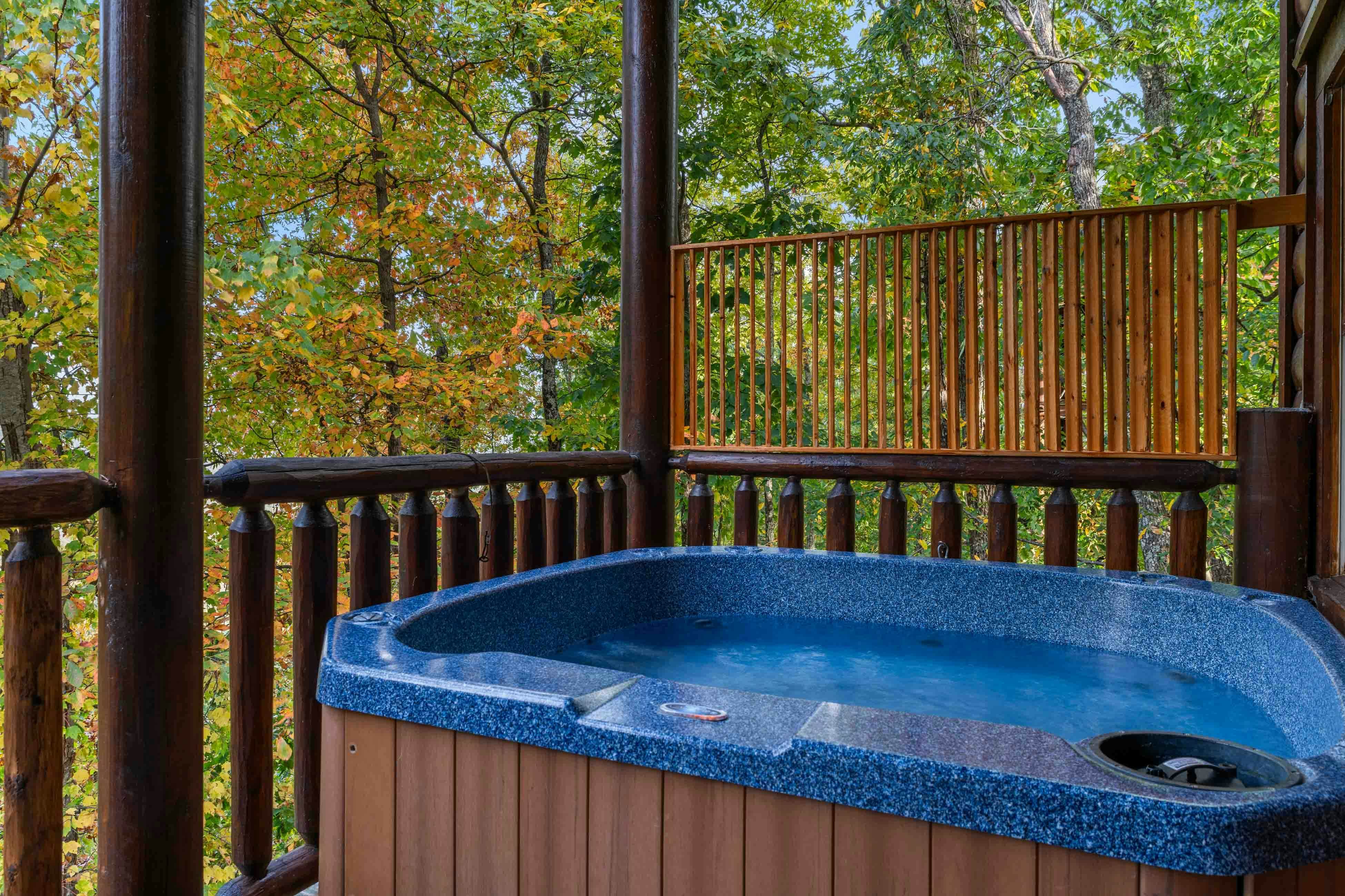 Amazing twin cabins w/dual hot tubs, billiards, theater - attraction tickets!