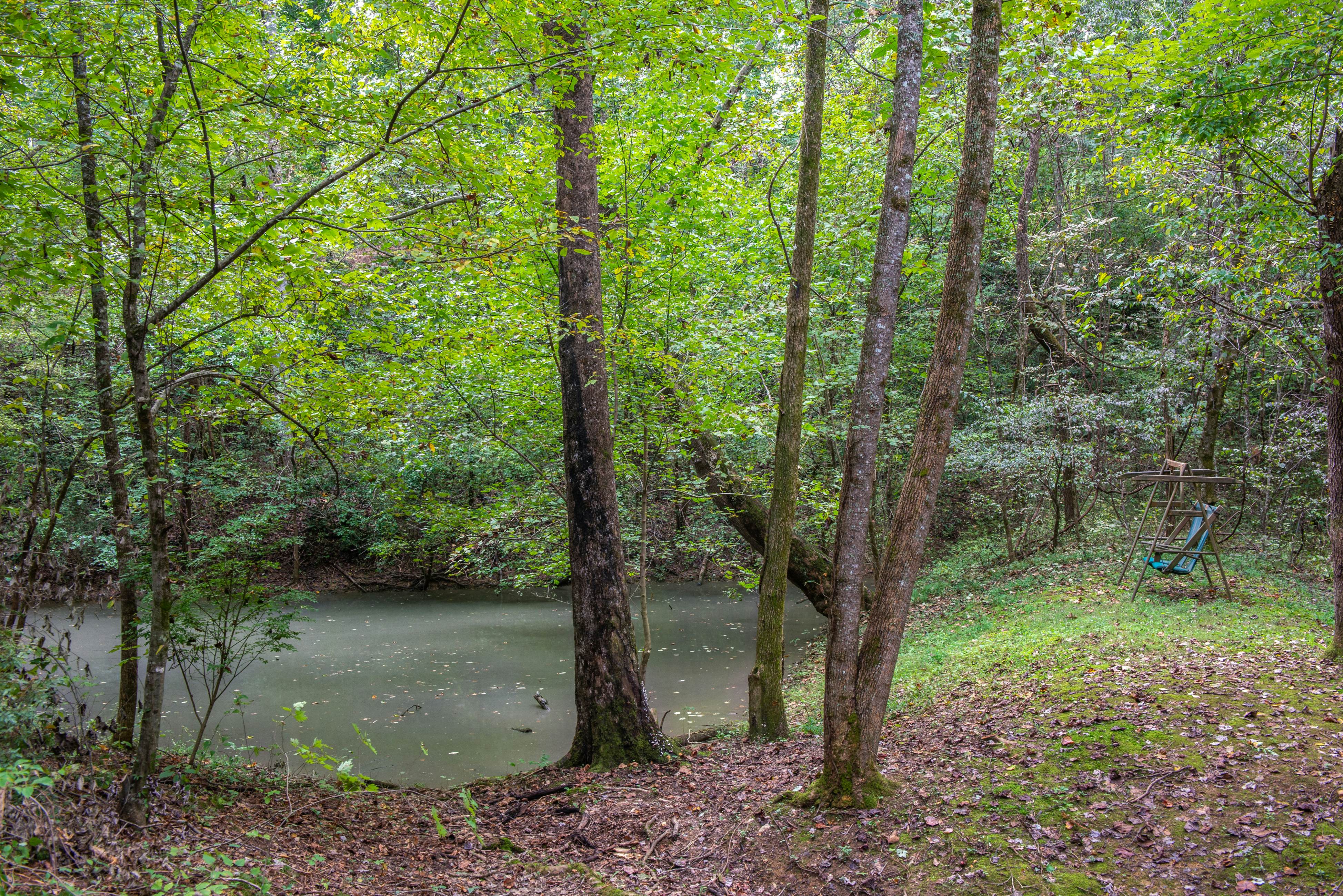 Creekside Cabin, Sleeps 8・Hot Tub・Foosball