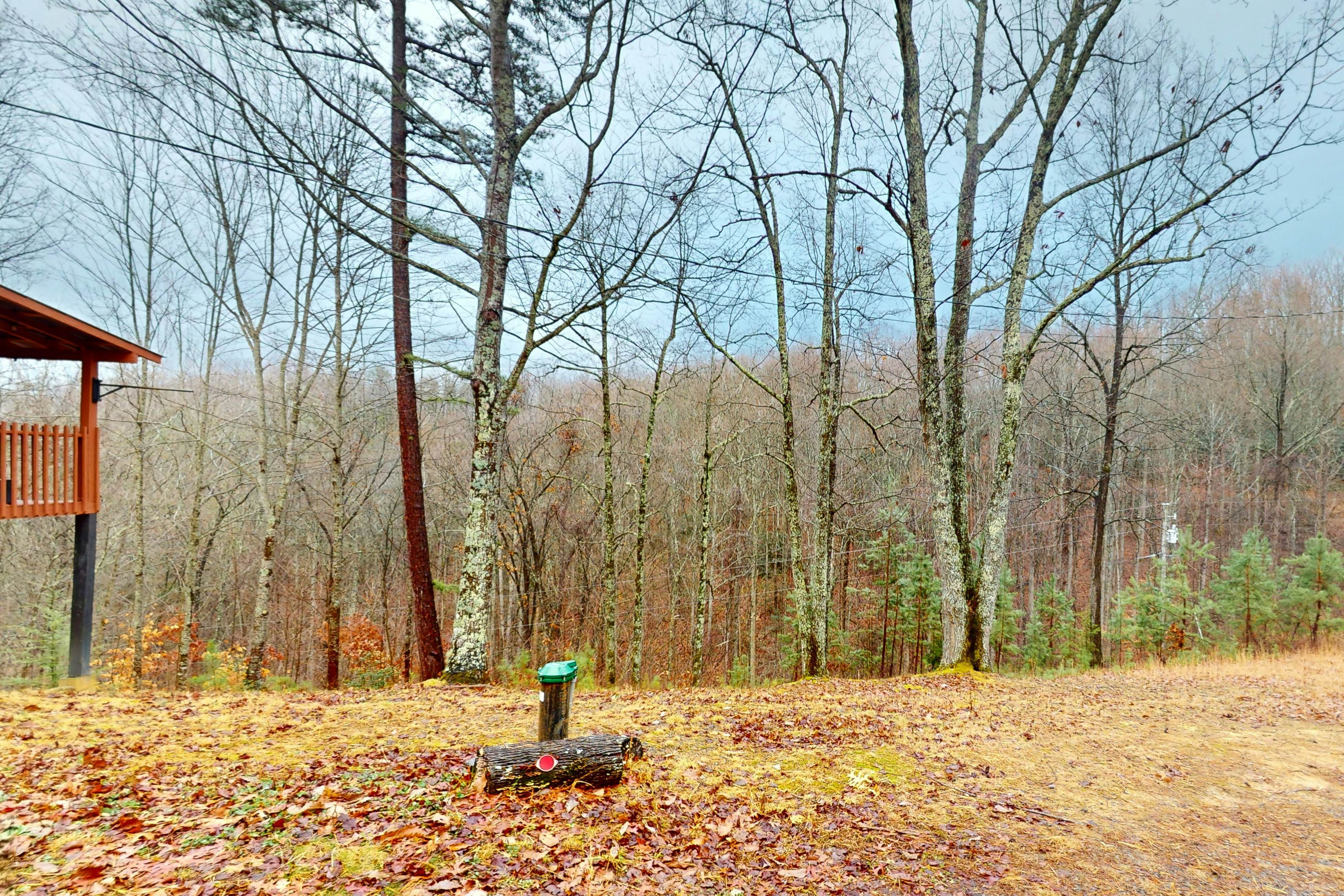 Secluded dog-friendly cabin w/ mountain views & hot tub +Free Attraction Tickets