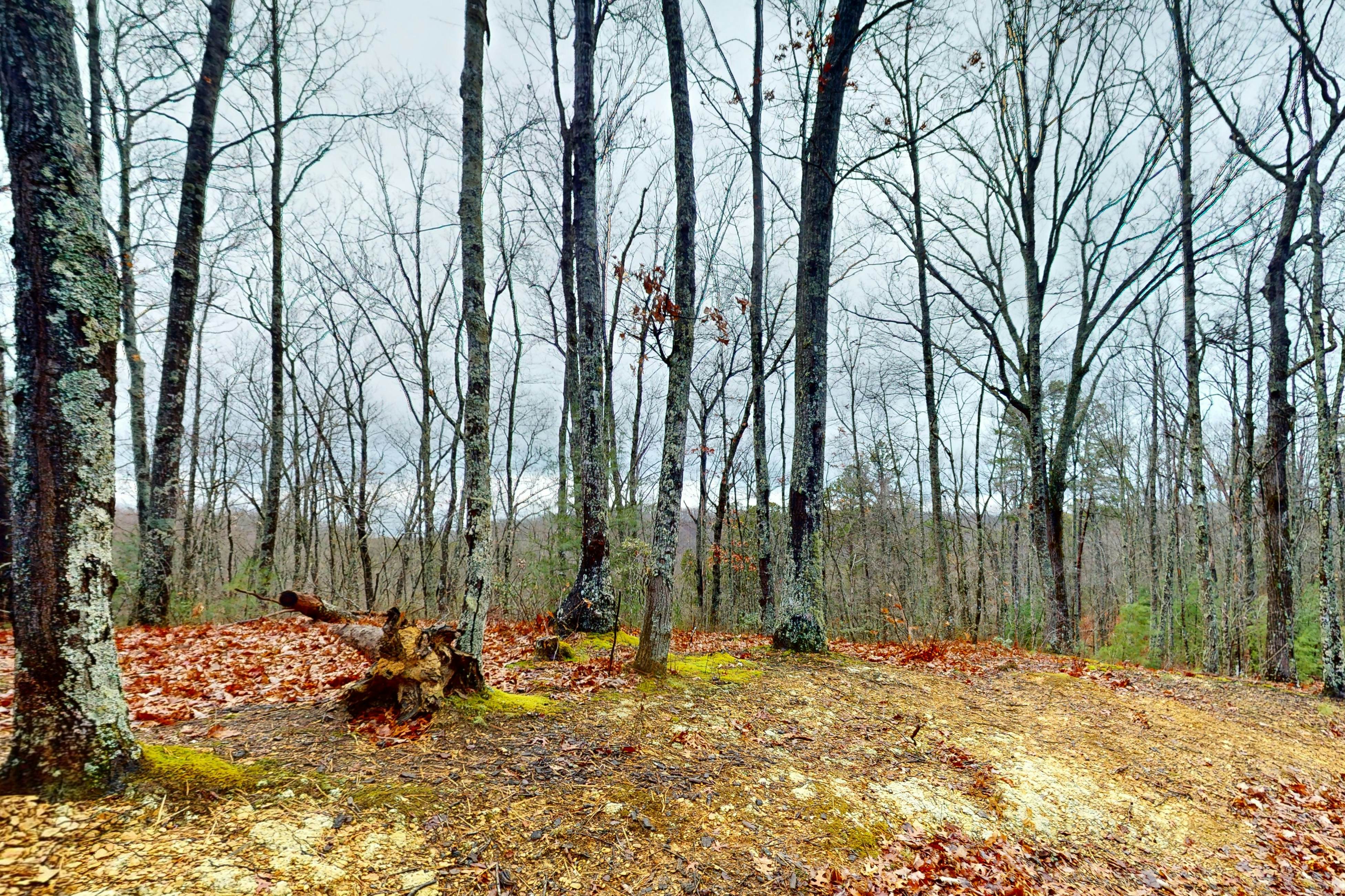 Secluded dog-friendly cabin w/ mountain views & hot tub +Free Attraction Tickets