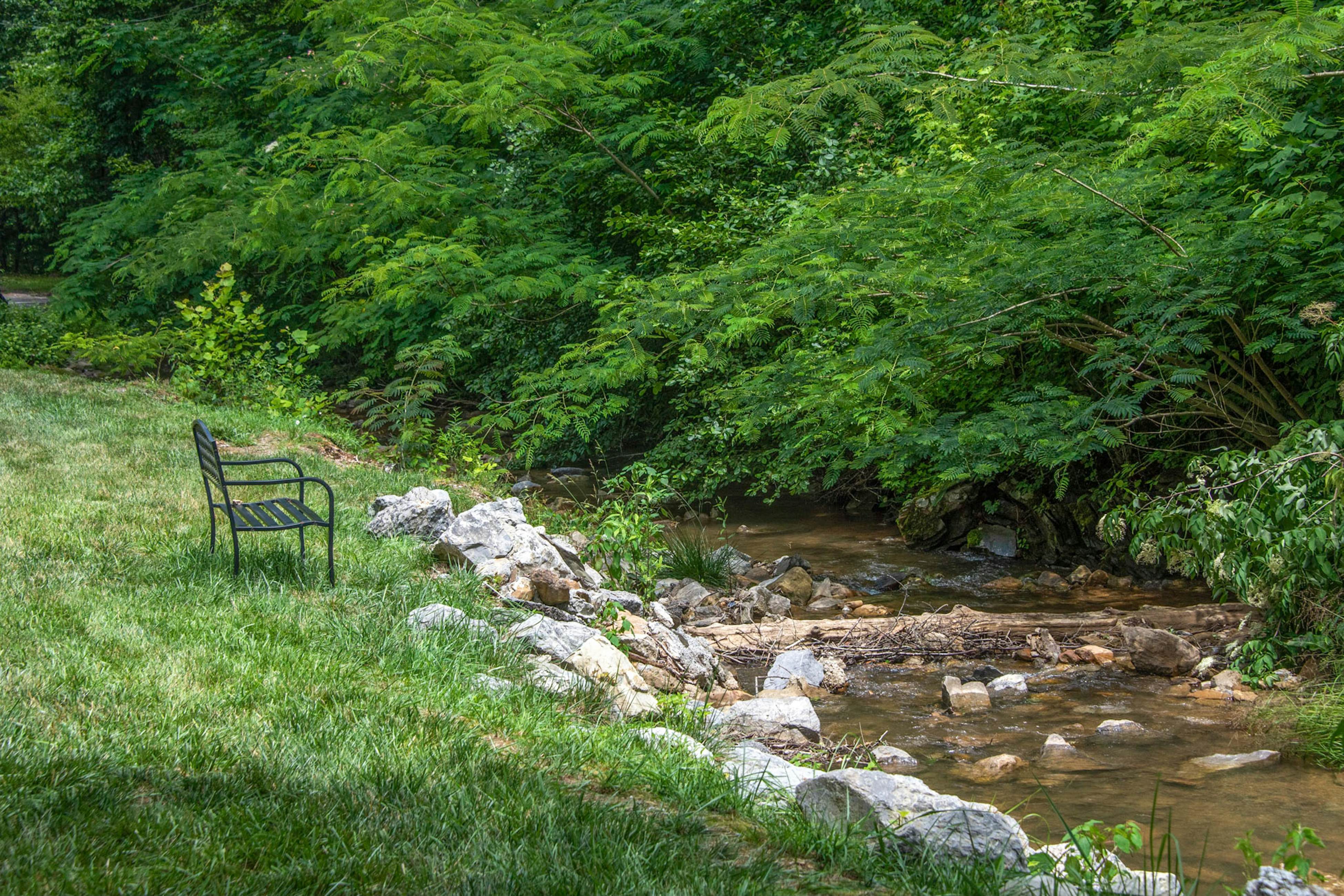 Cozy Cabin, Sleeps 6・Shared pool・Walking trails