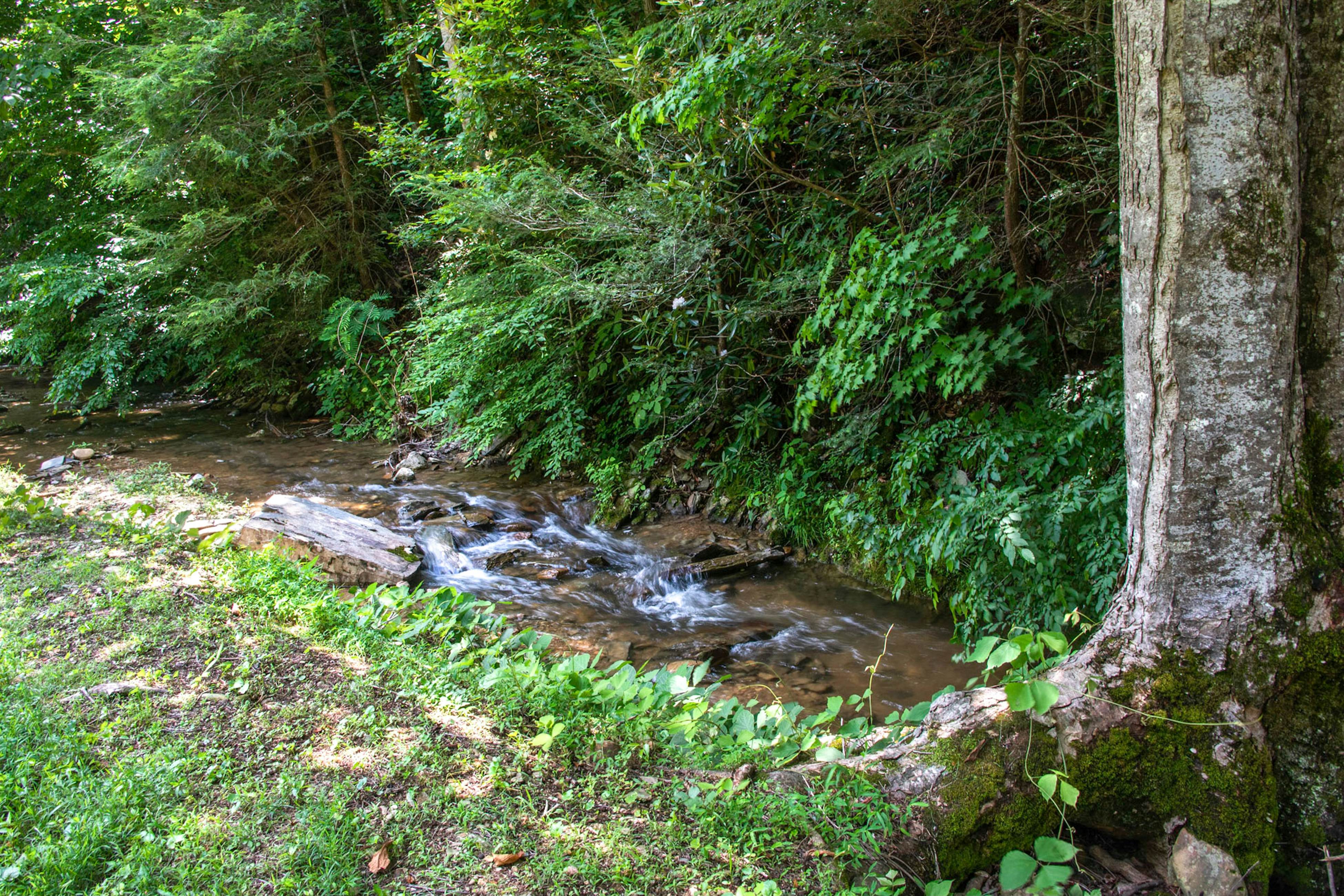 Cozy Cabin, Sleeps 6・Shared pool・Walking trails