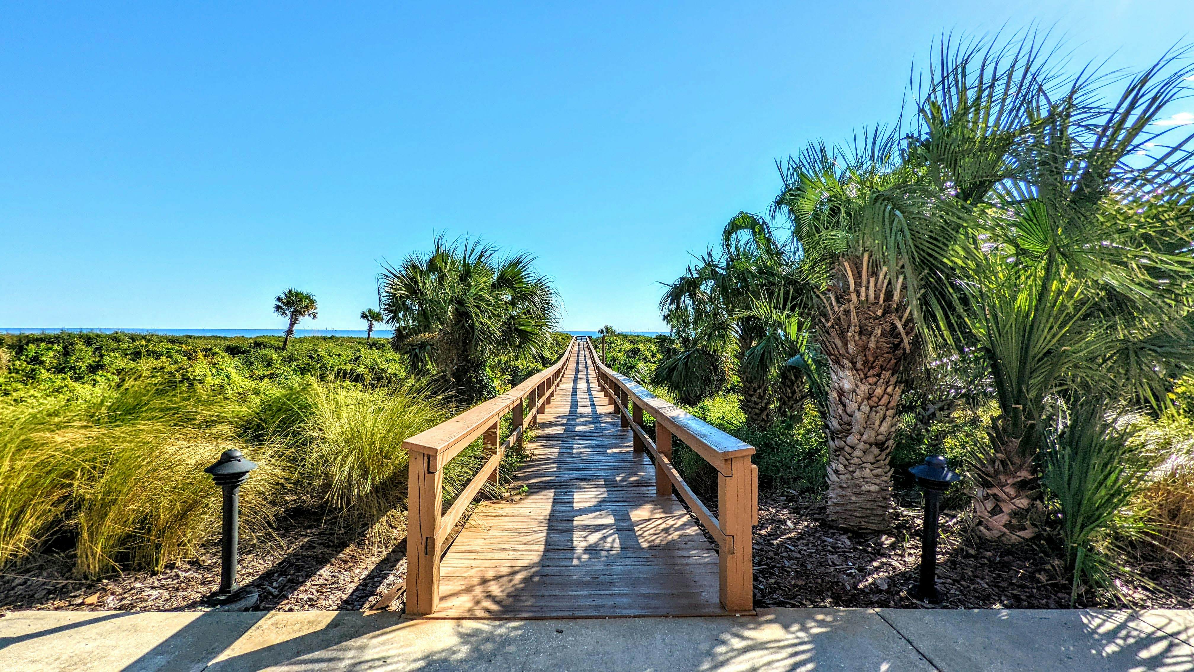 Blue Horizon at Surf Club