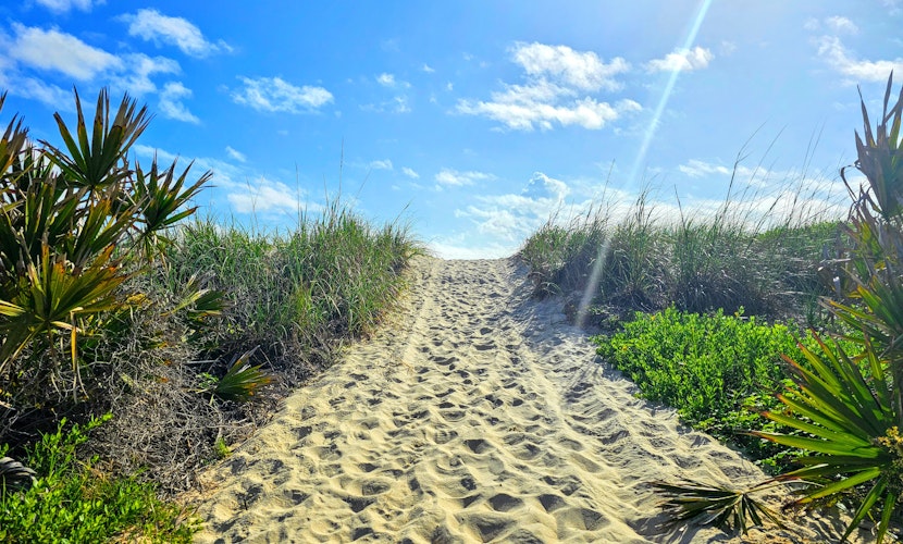 Private House Walk to the Beach & Parks! 🌴Large Decks, Family Vacation! Hammock Beach