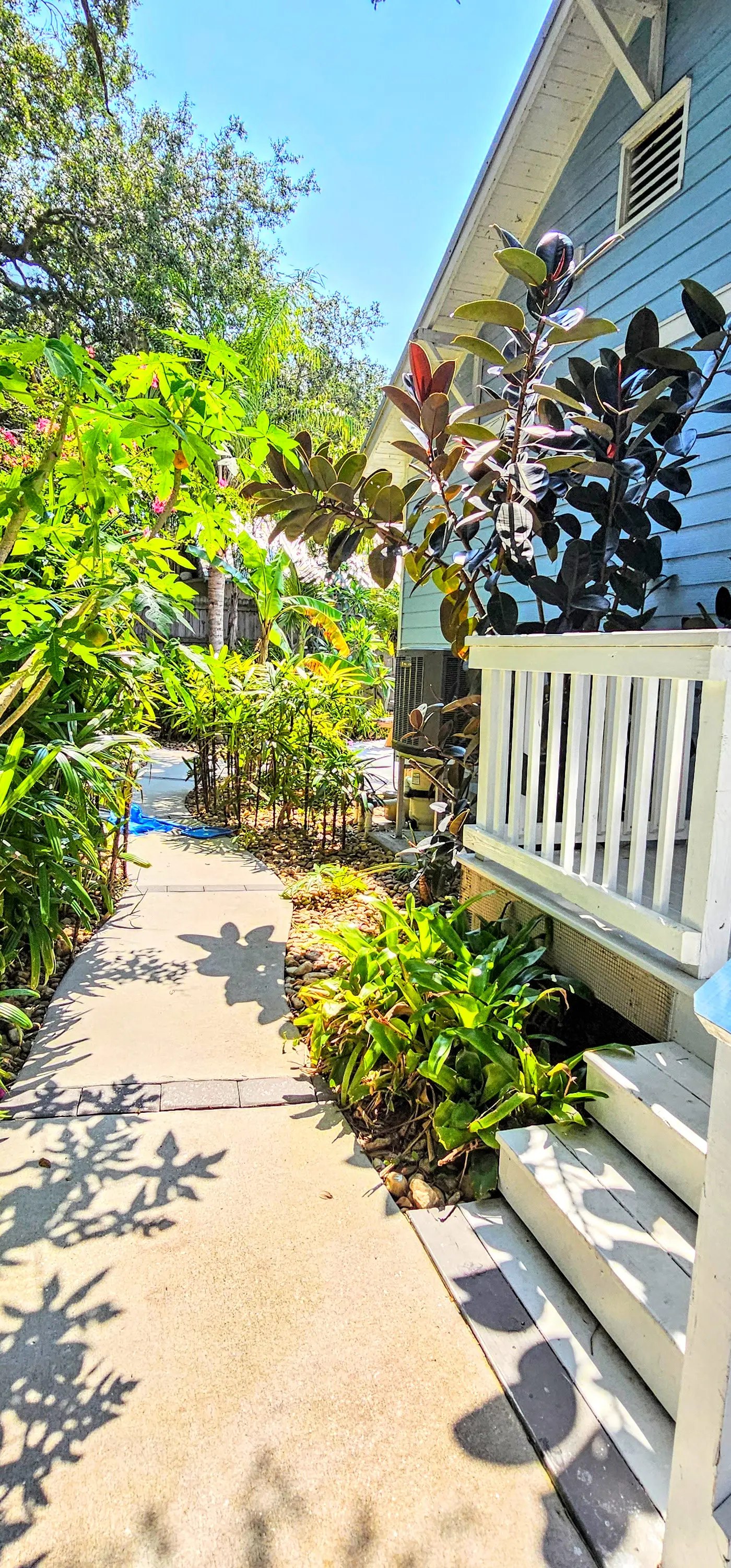 Surfside Oasis