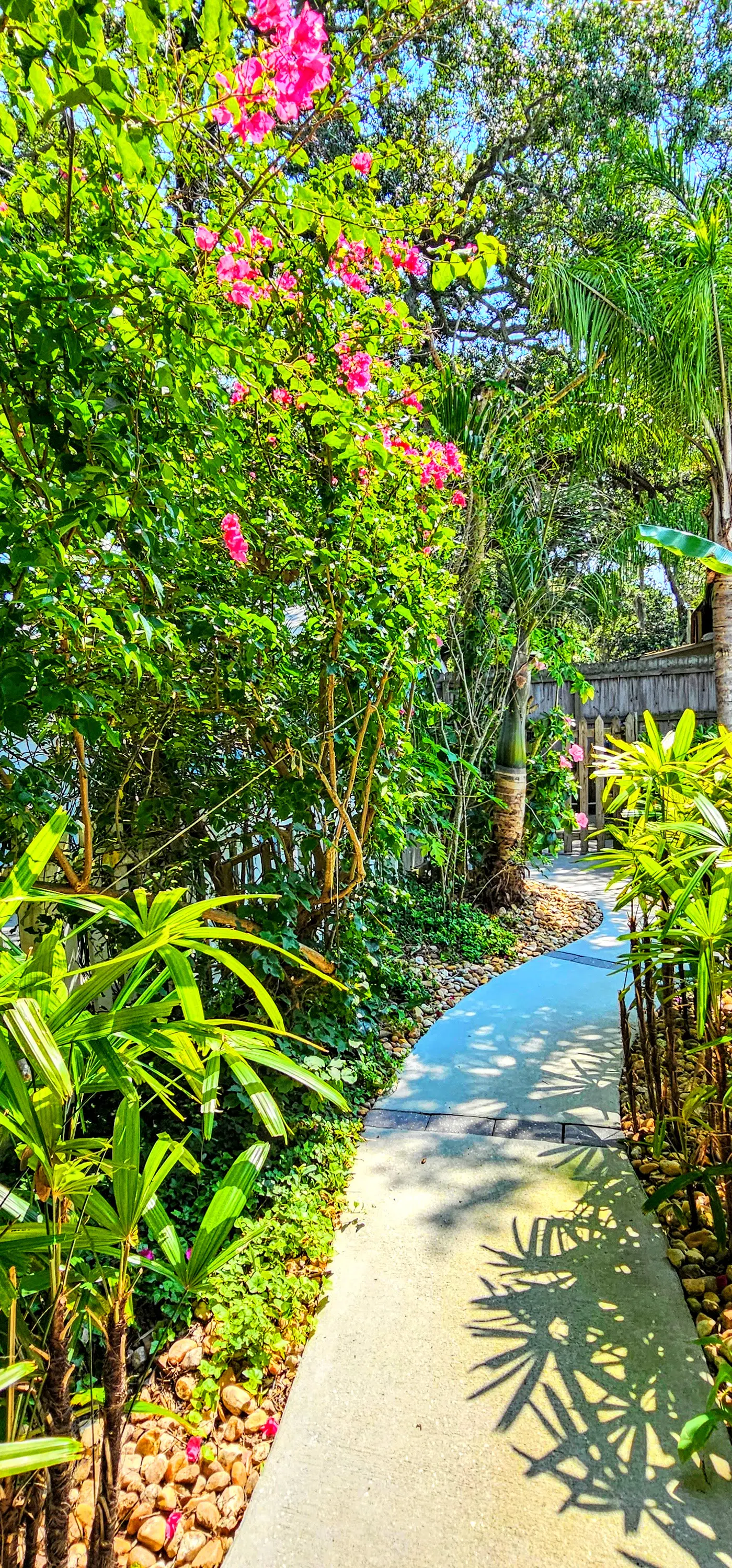 Surfside Oasis