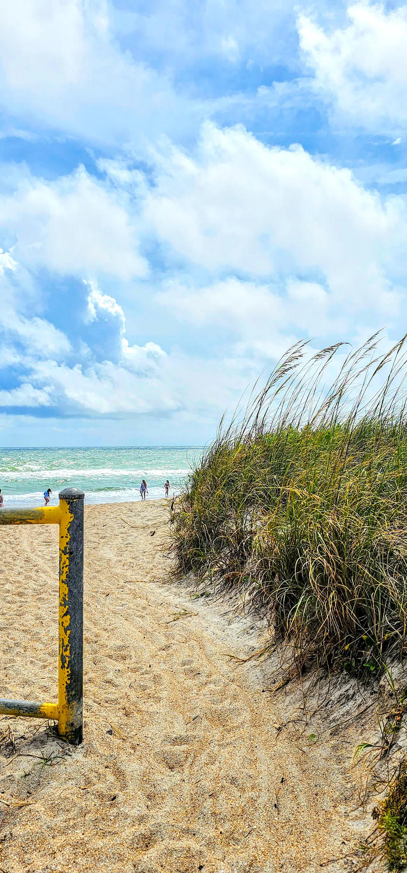 Surfside Oasis