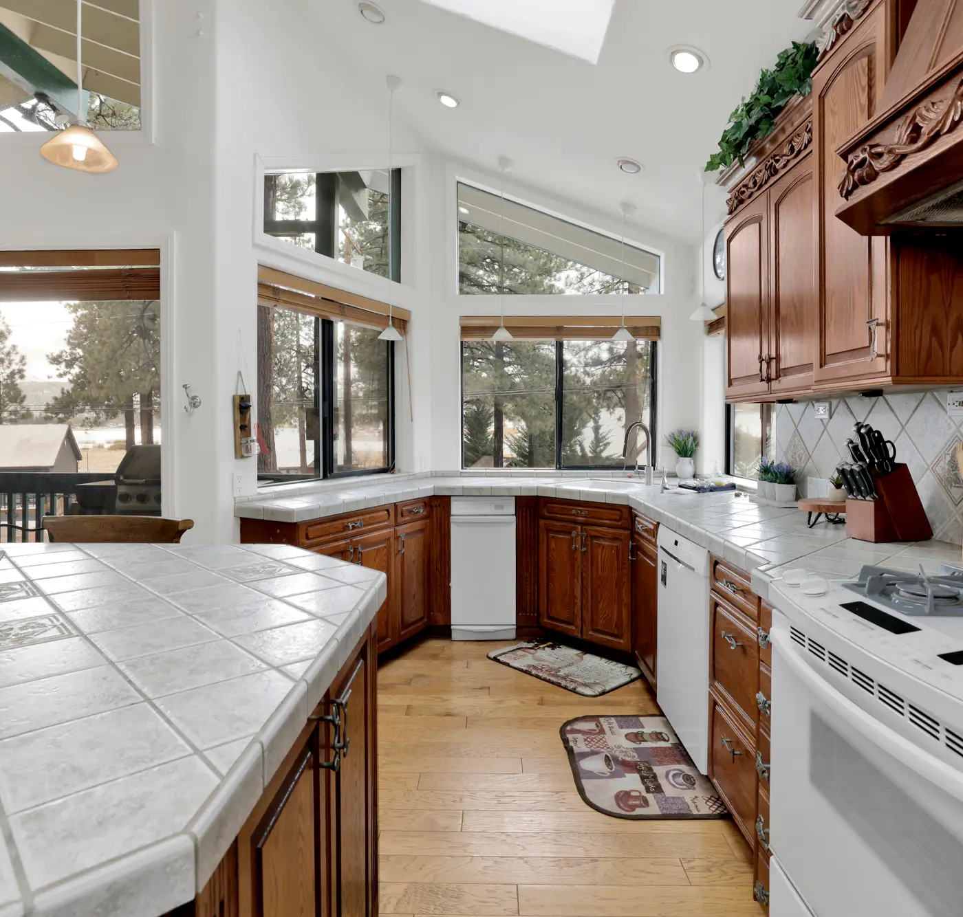 2549-Vivienda de Osos