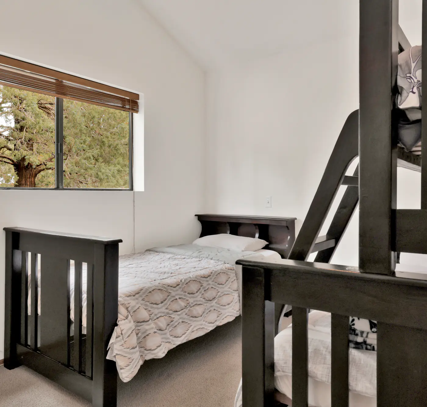 2549-Vivienda de Osos