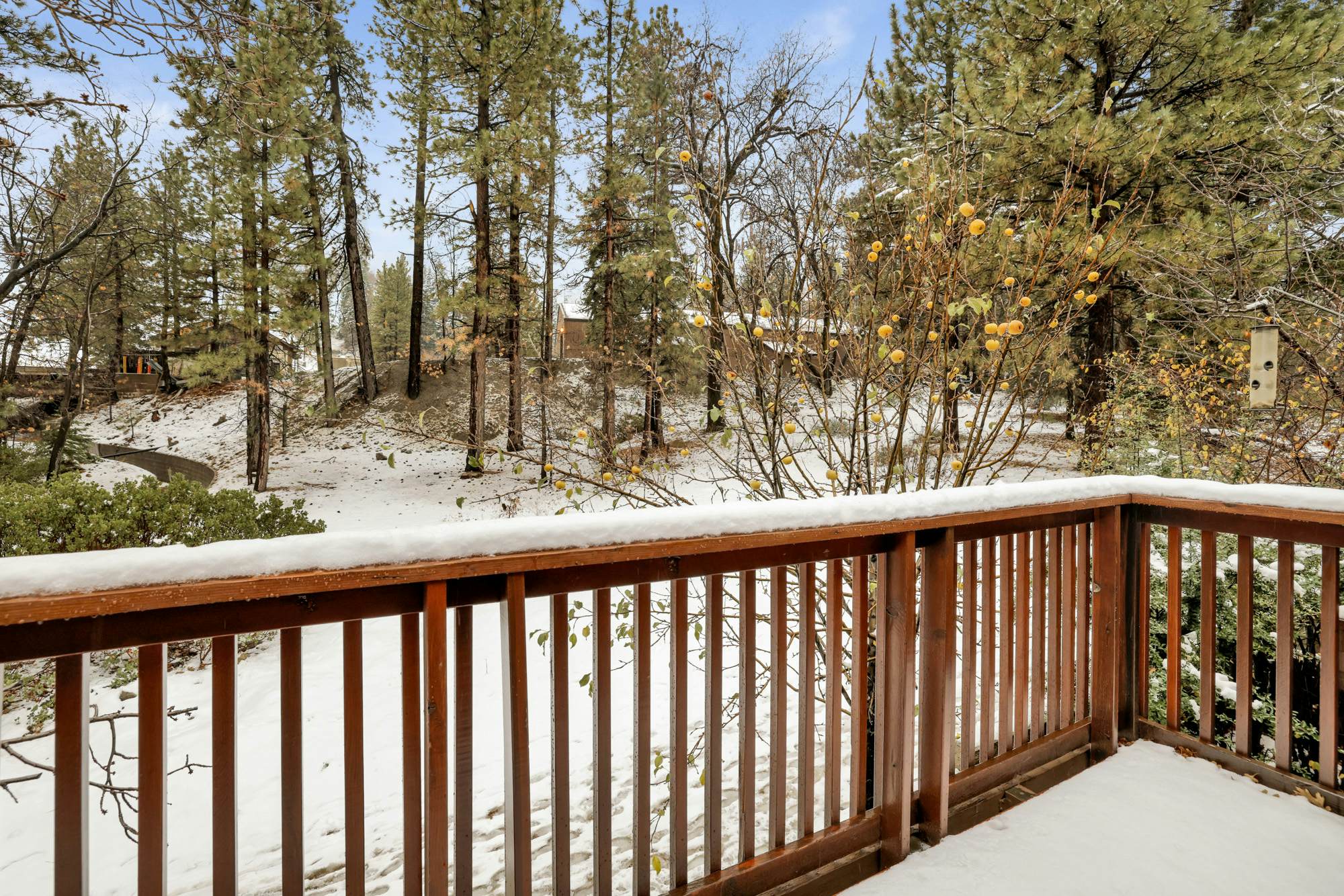 2586-Ours De Ski Chateau