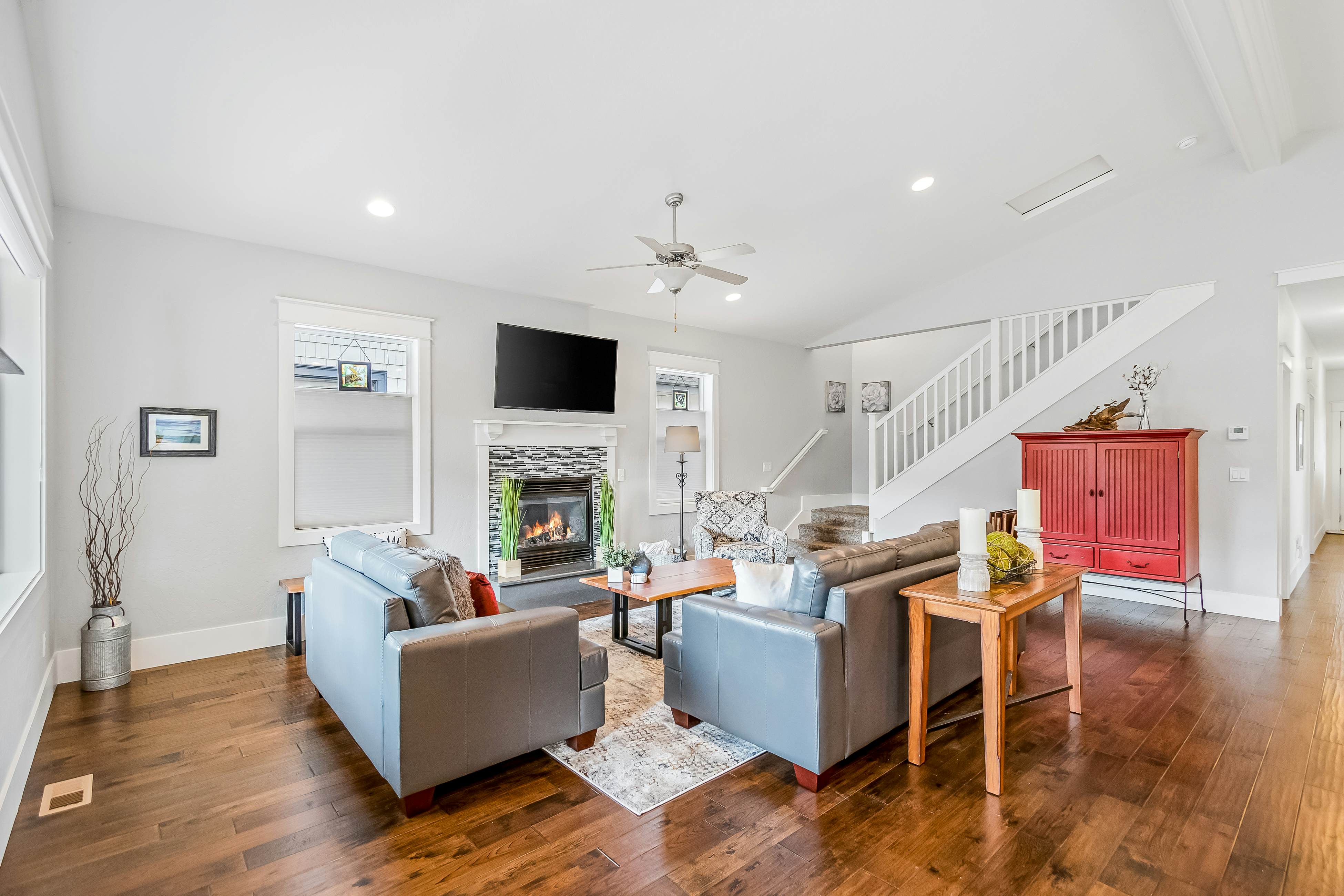 Dog Friendly AC Fireplace