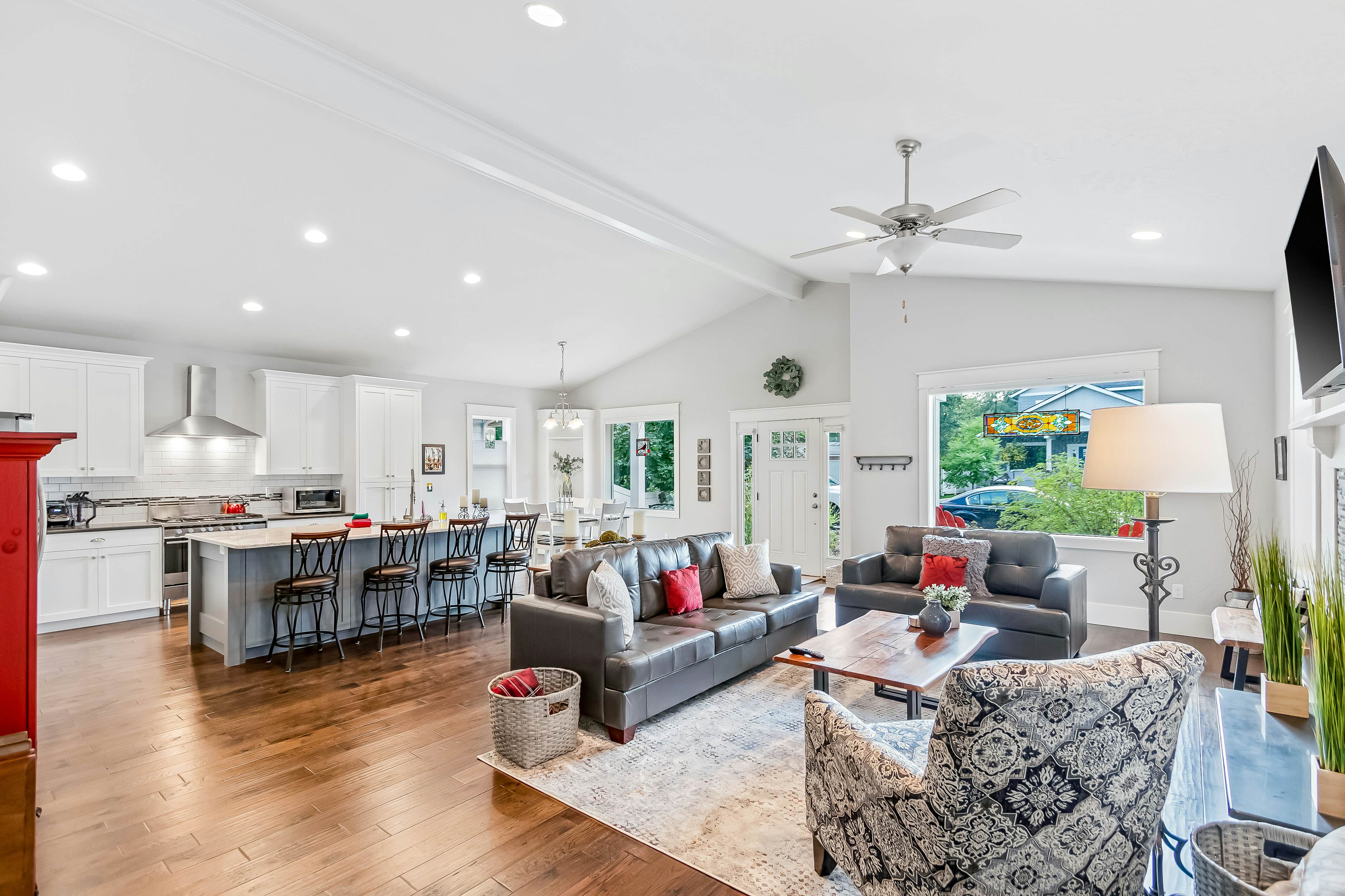 Dog Friendly AC Fireplace