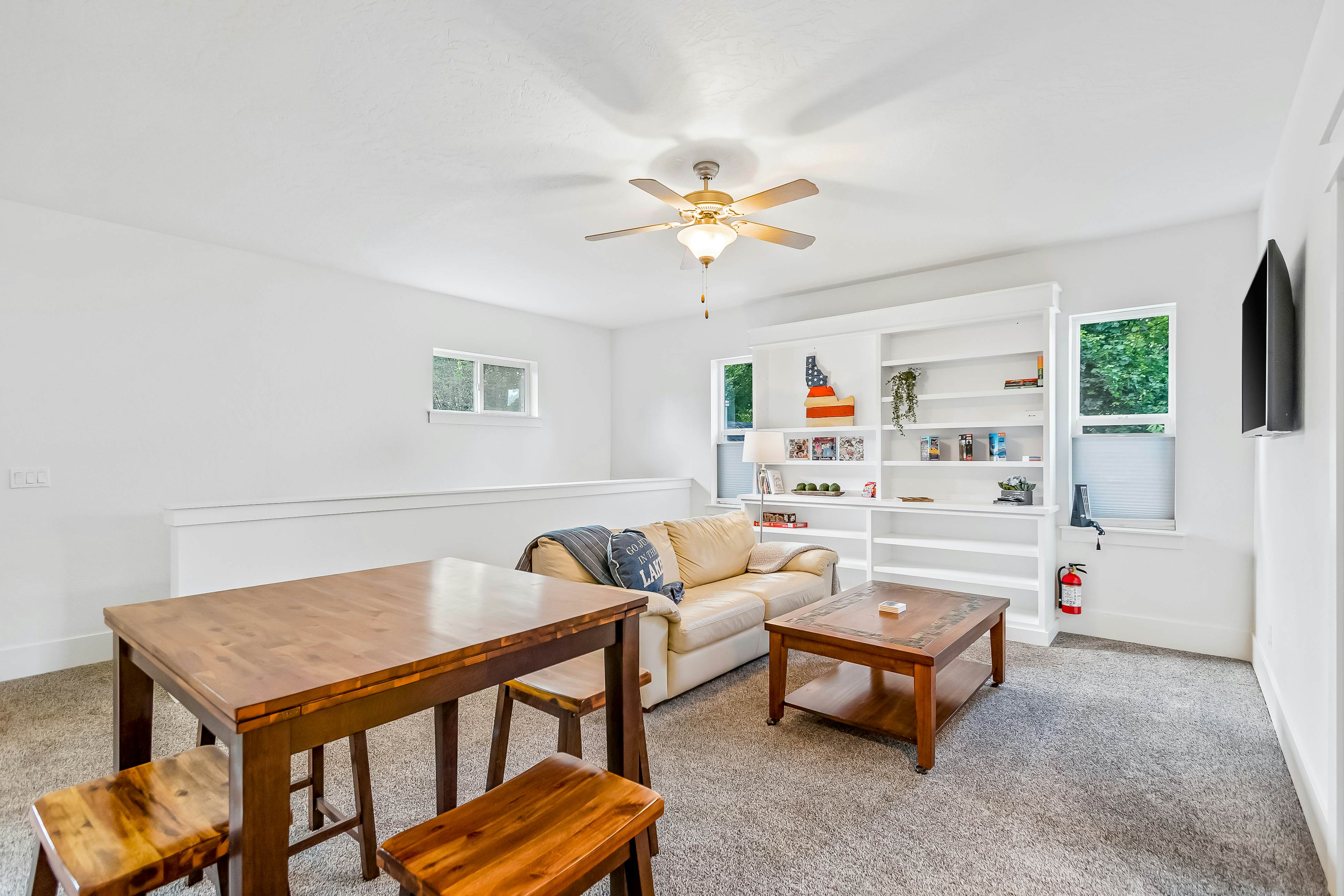 Dog Friendly AC Fireplace