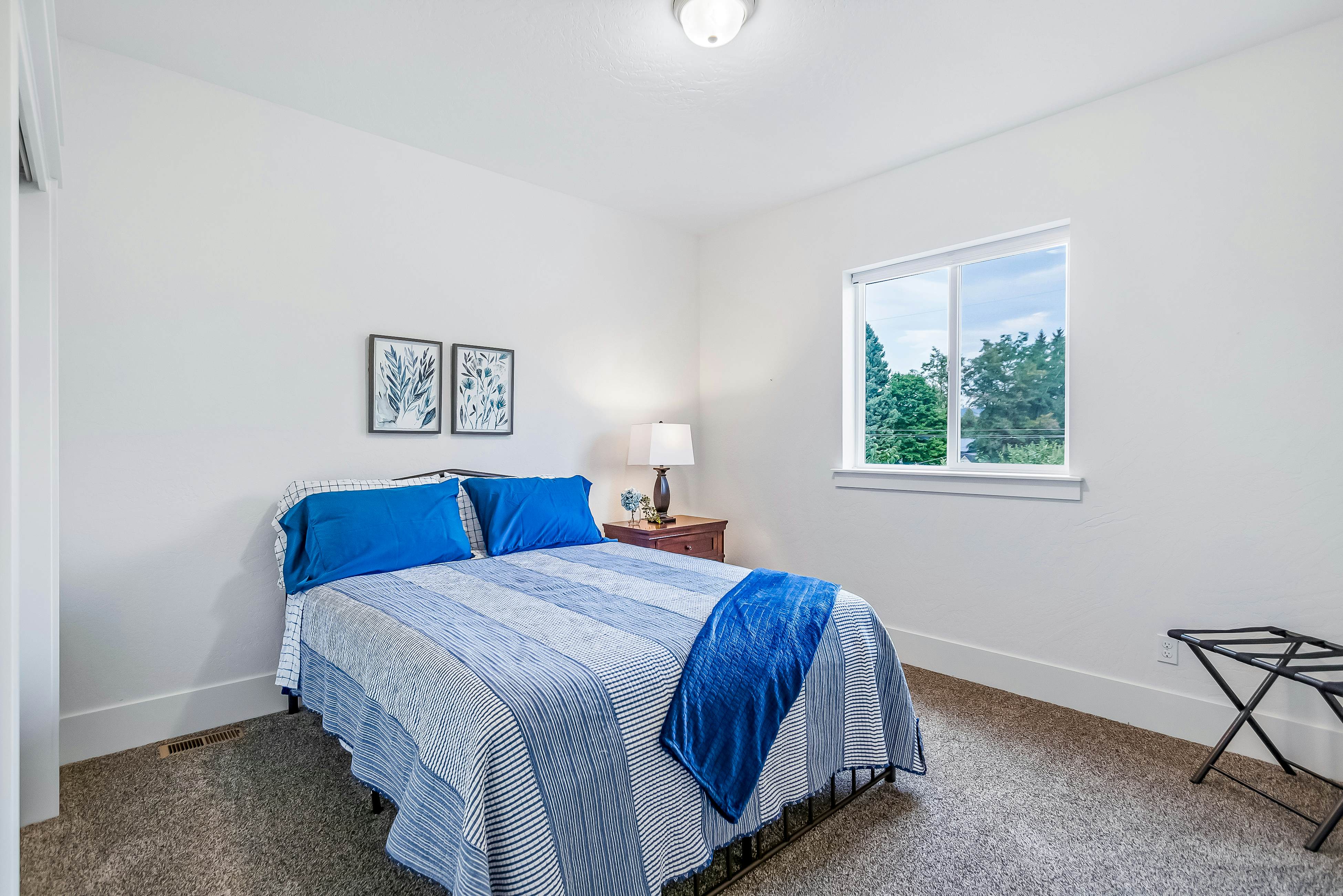 Dog Friendly AC Fireplace