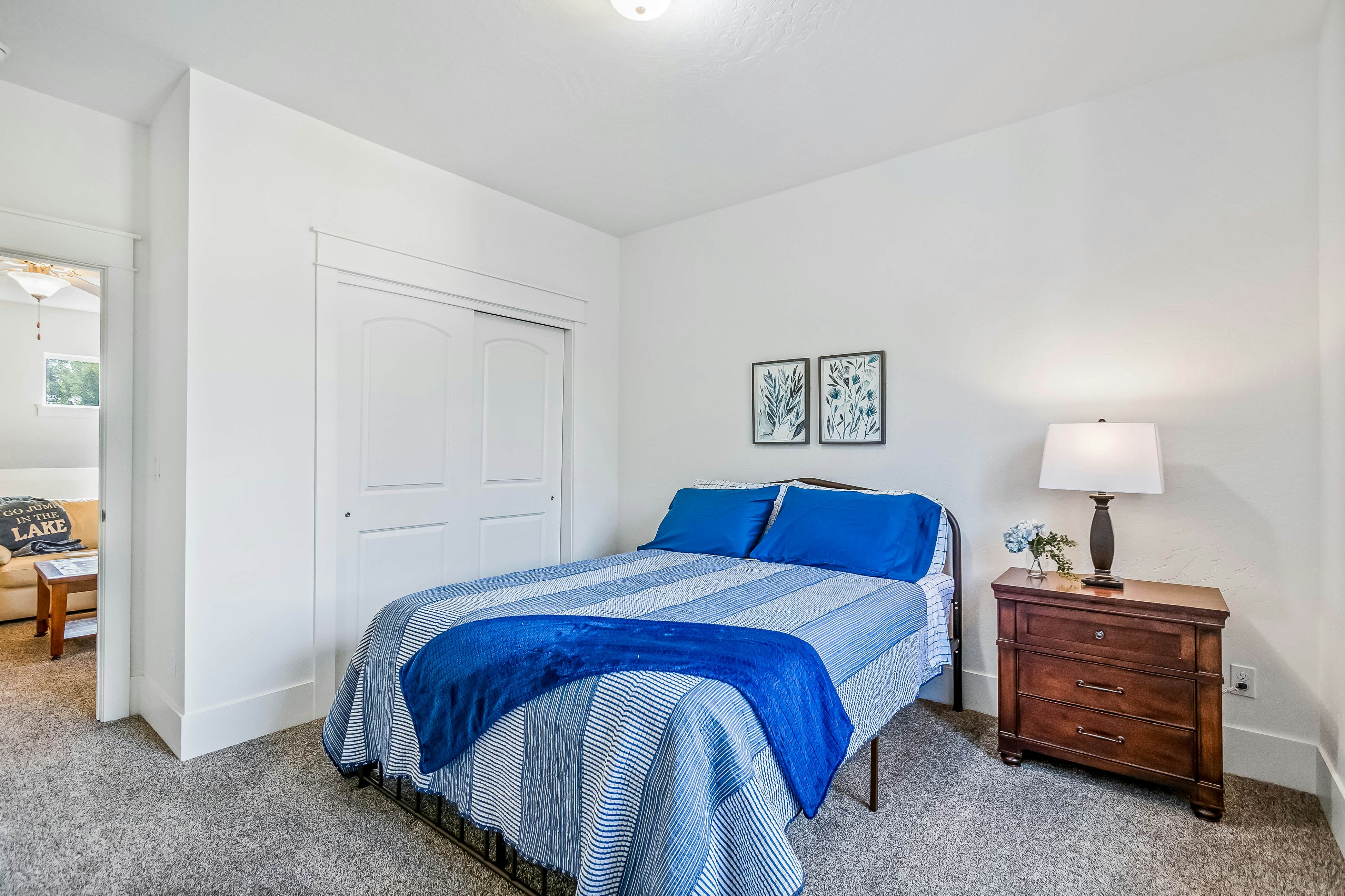 Dog Friendly AC Fireplace