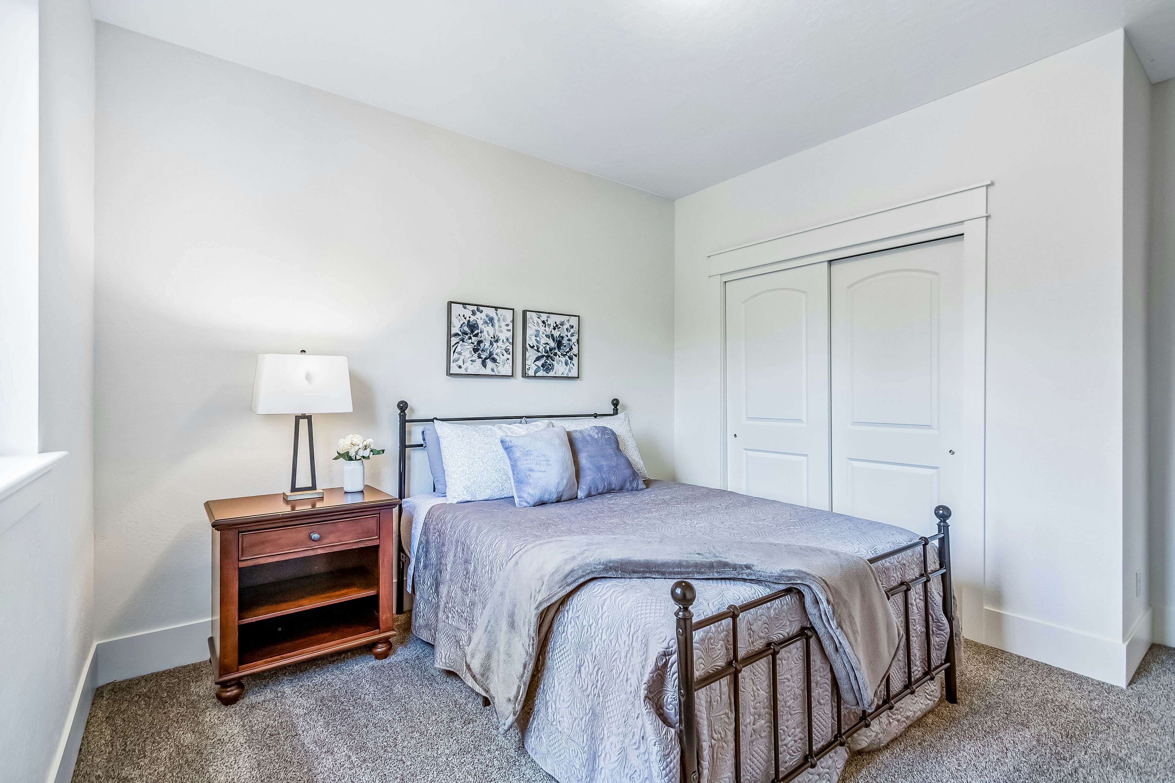 Dog Friendly AC Fireplace